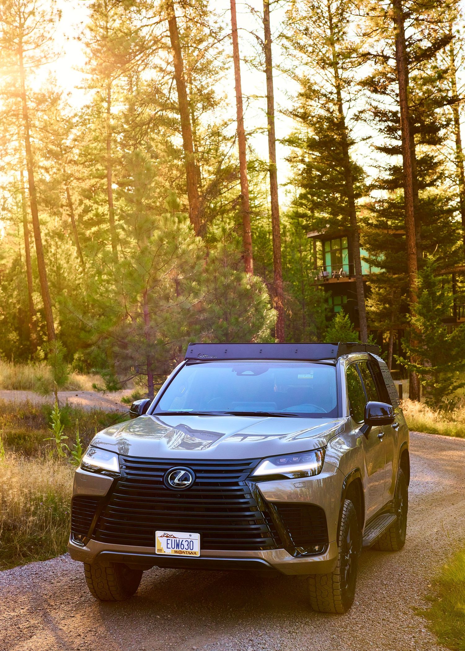Gold Lexus LX SUV parked on forest dirt road surrounded by tall pine trees with golden sunlight filtering through.