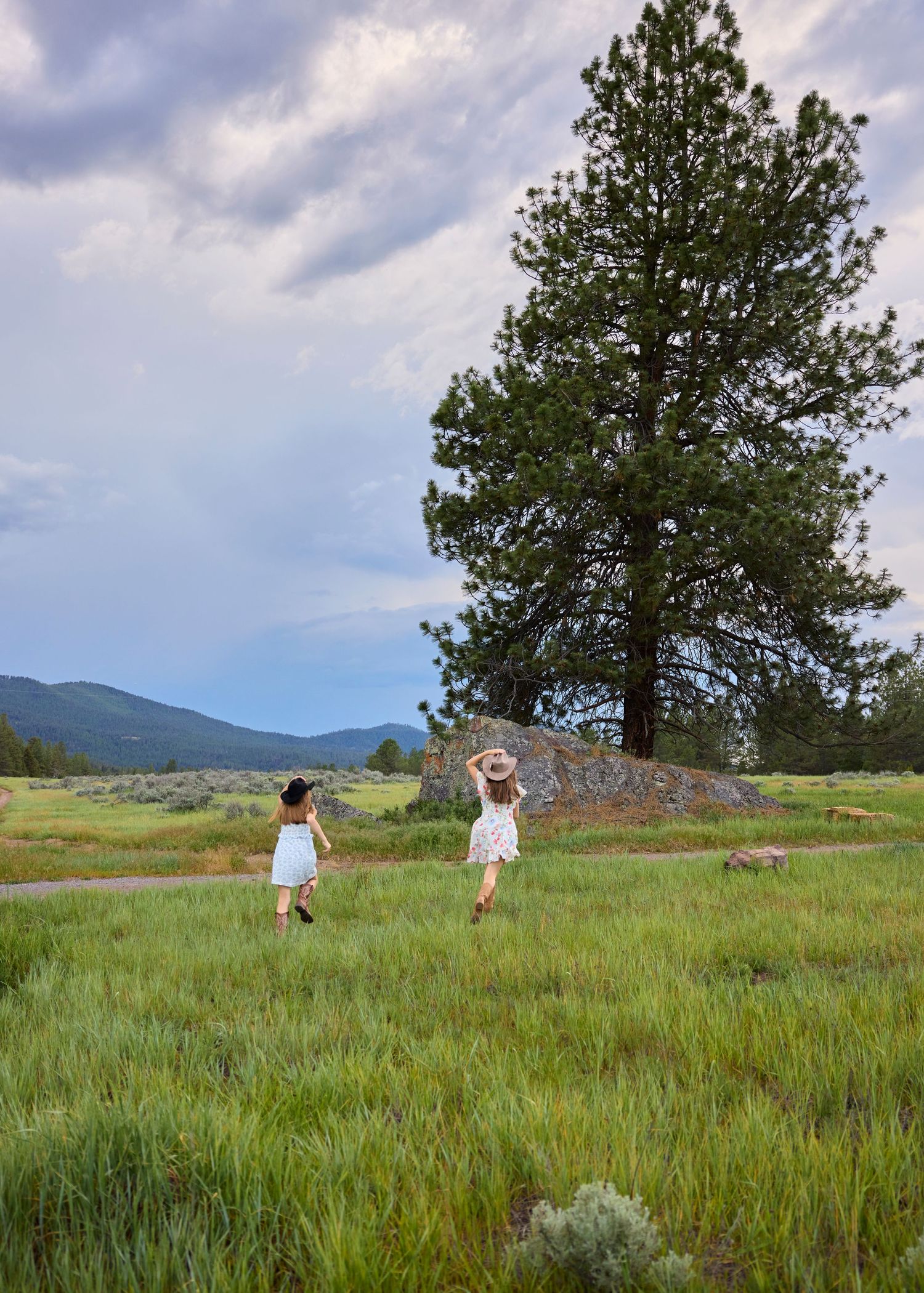 Two young girls running through a scenic green meadow toward a large pine tree and mountains.