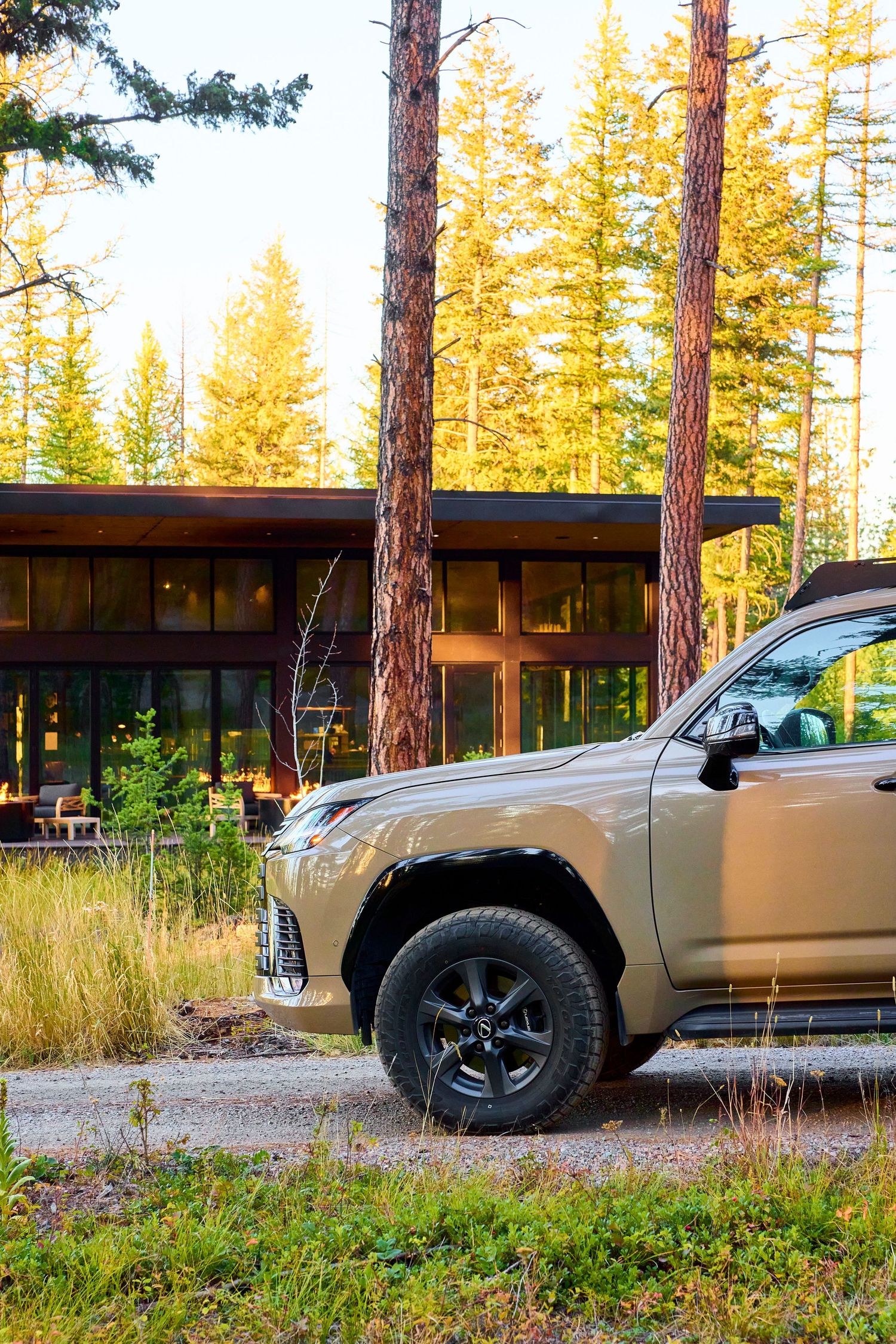 A tan Lexus LX600 SUV parked on gravel amid tall pine trees near a modern lodge at golden hour.