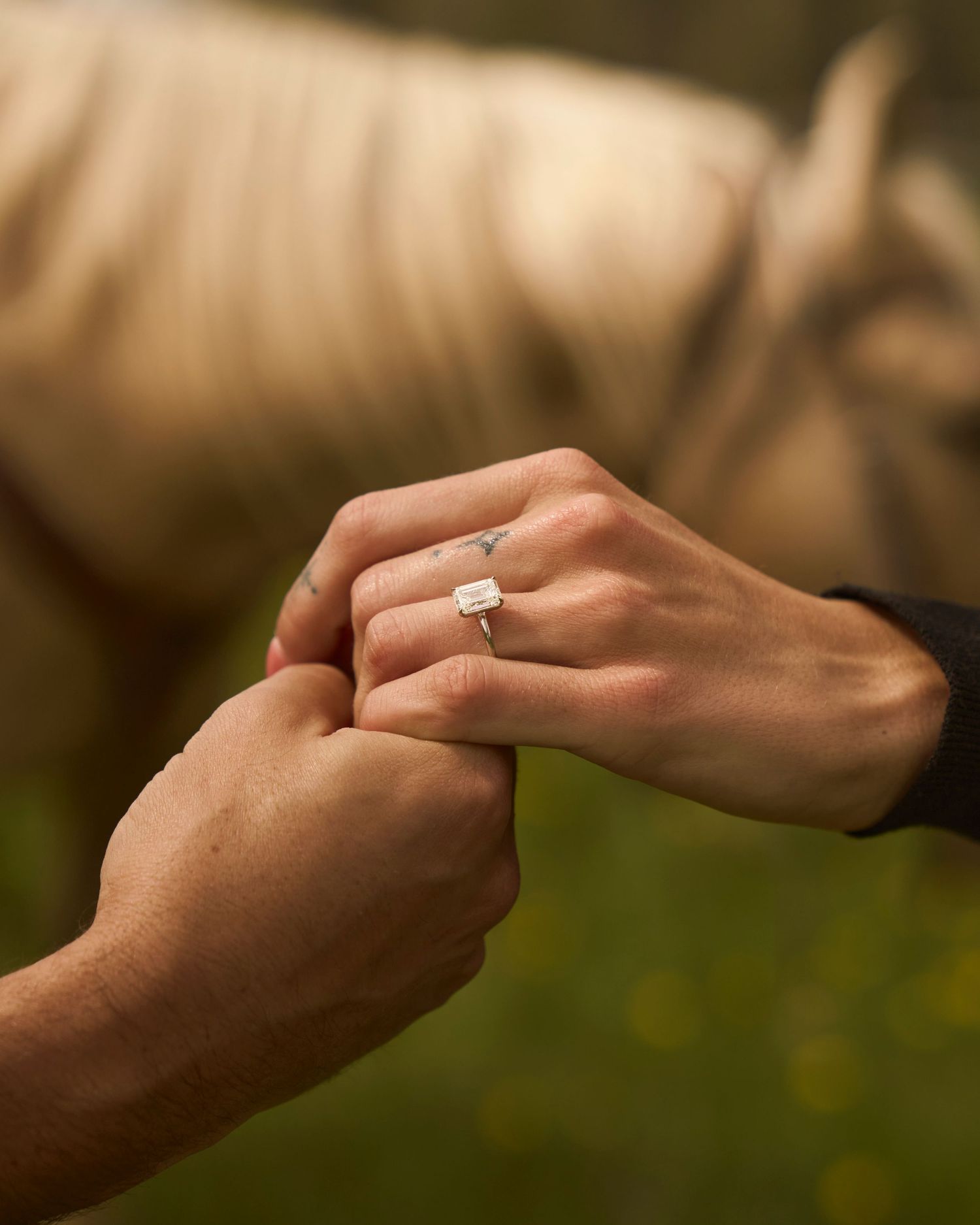 Close-up of couple holding hands showing an emerald cut engagement ring with a horse blurred in background.