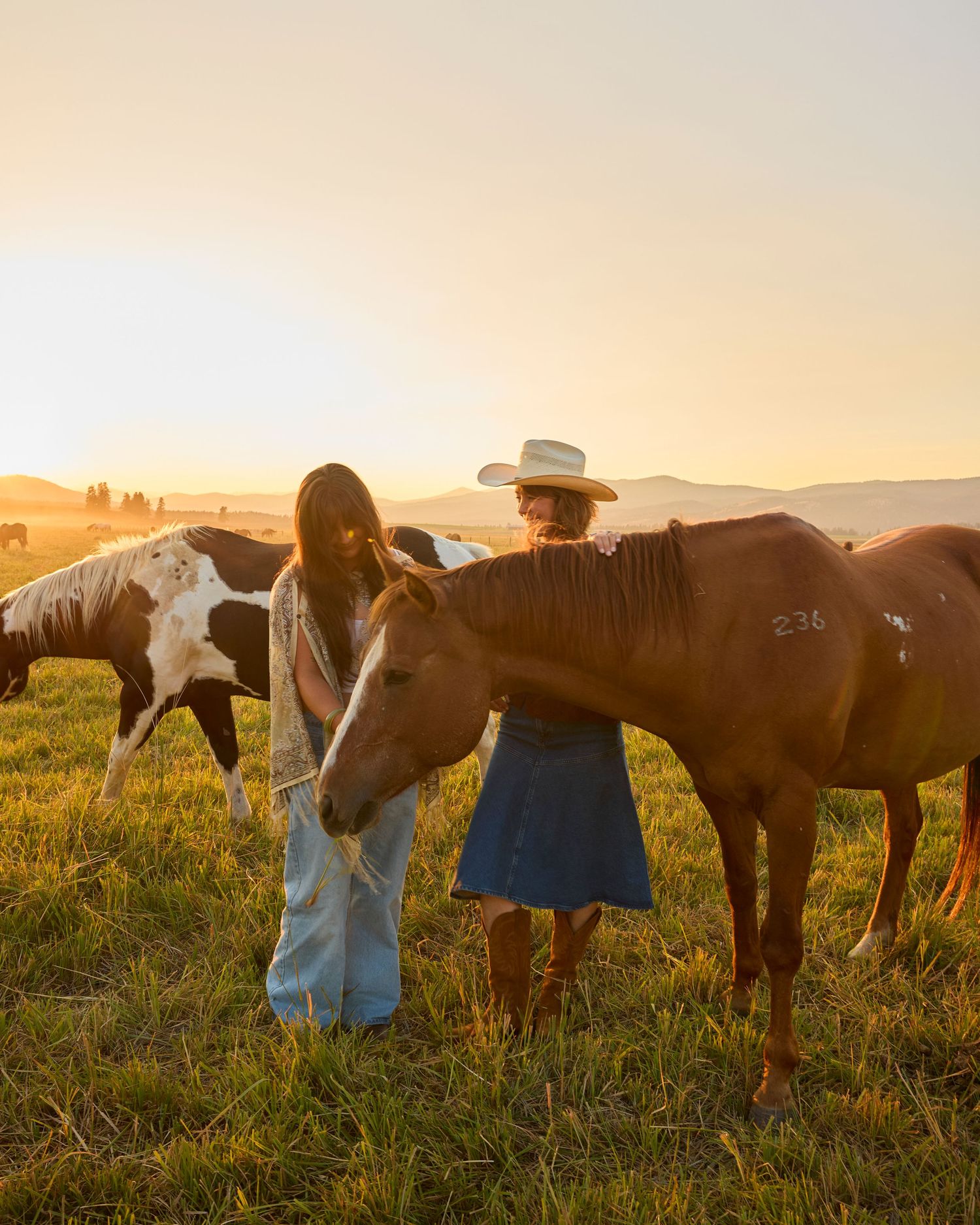 Two women petting horses in golden sunset light on a lush green ranch field.