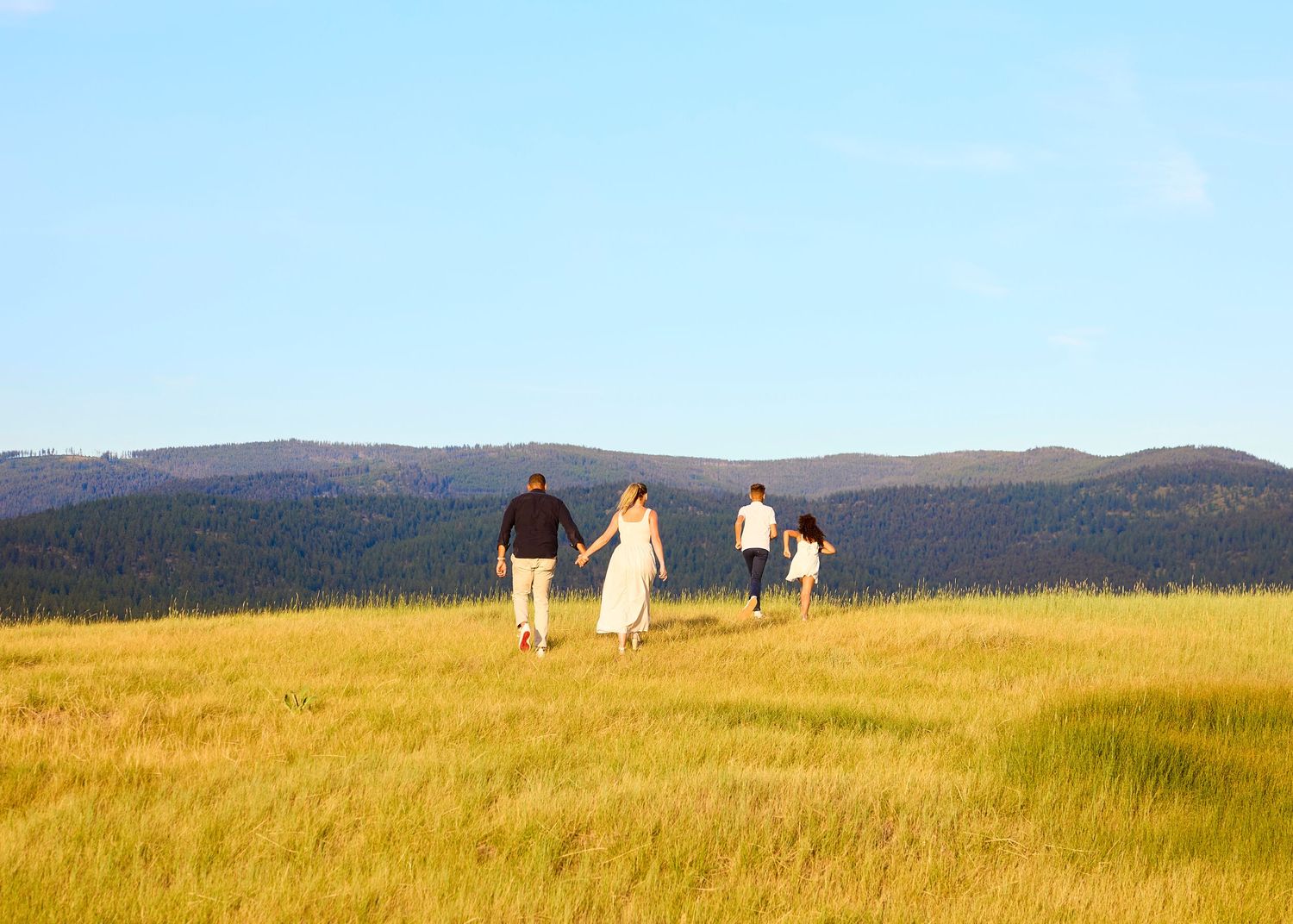 A family of four walks hand-in-hand through a lush green meadow with forested hills in the background.
