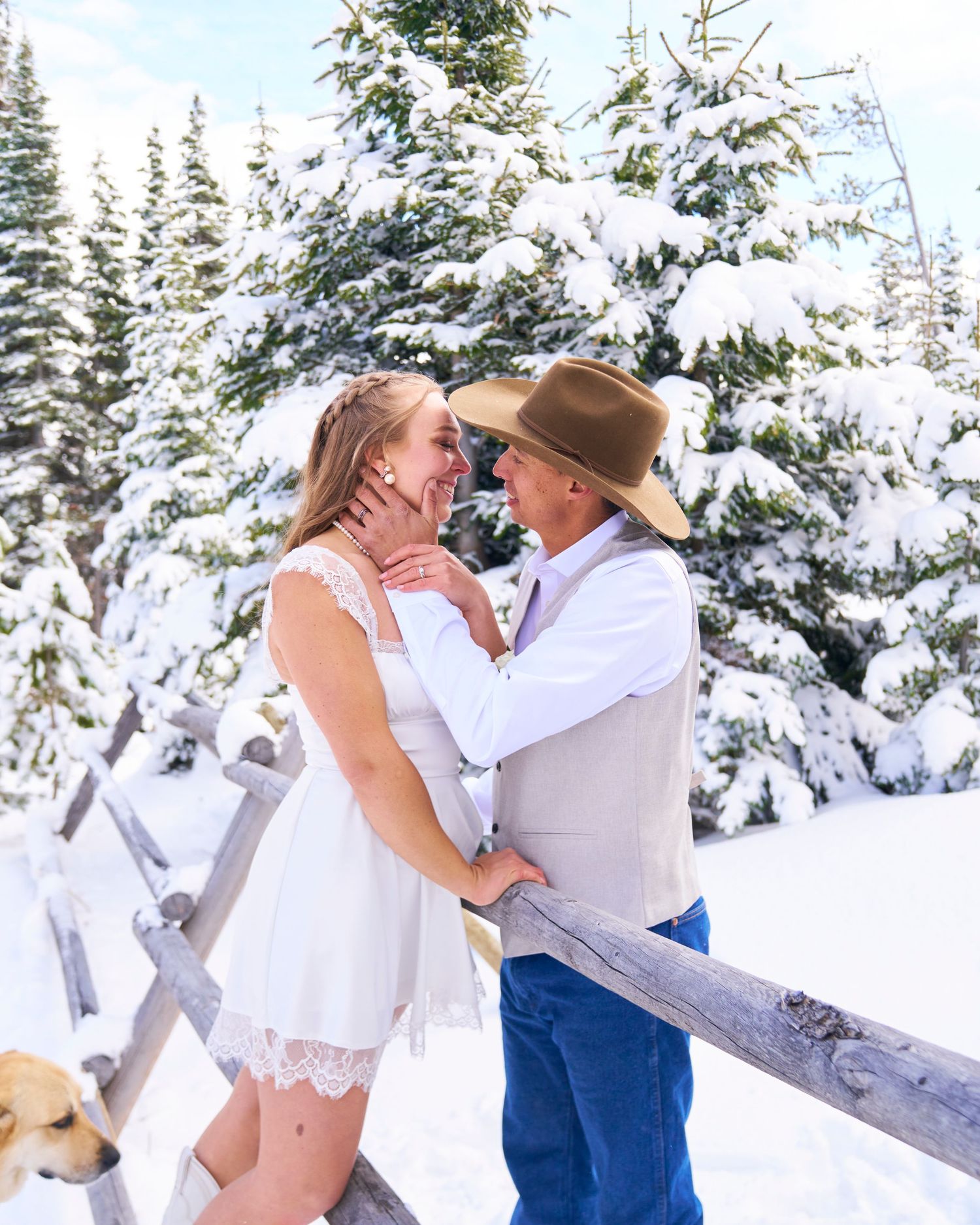 Romantic winter wedding couple nearly kissing by rustic fence with snow-covered pine trees behind.