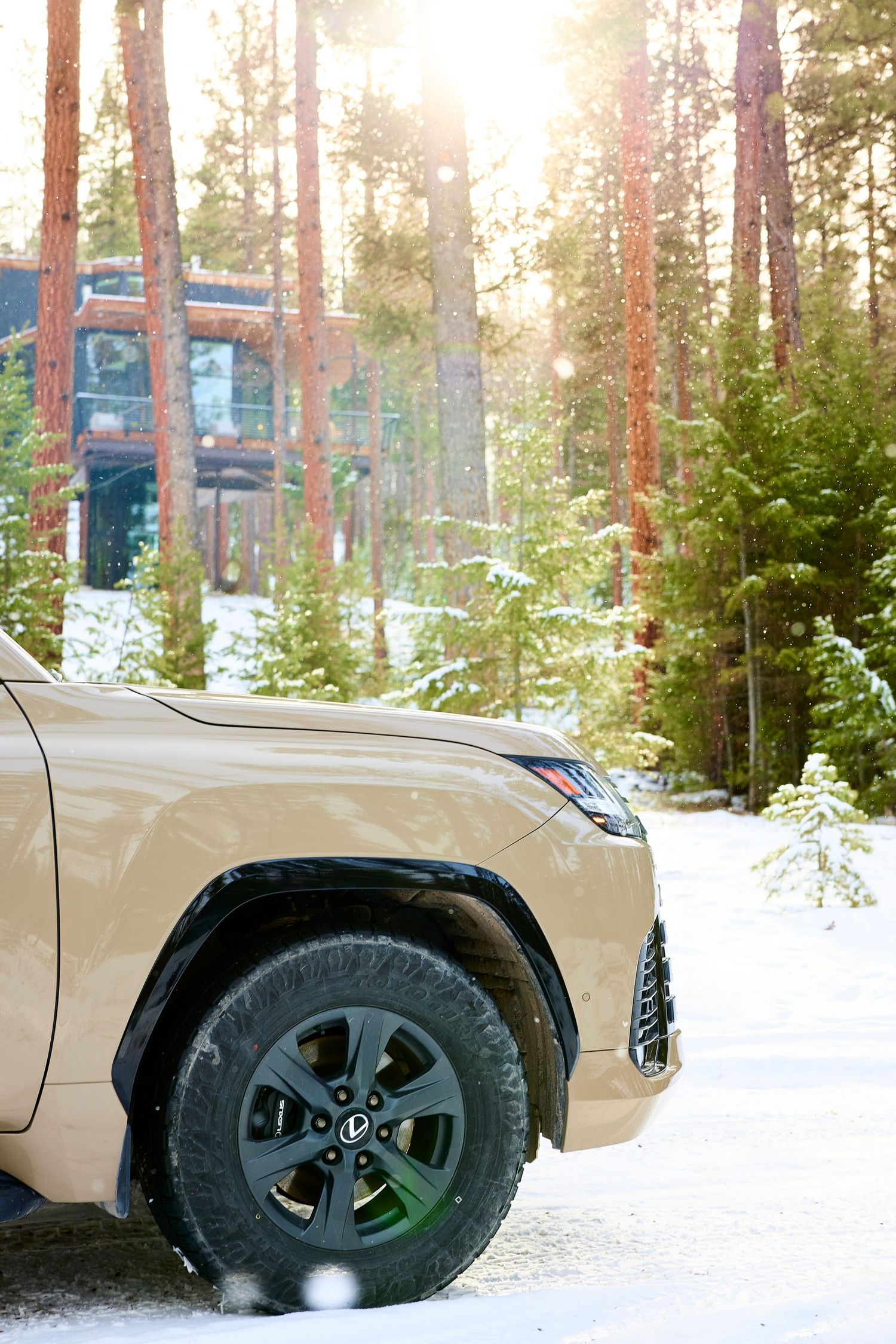 Front quarter view of gold Lexus LX SUV on snowy forest road with sunlight streaming through pine trees.