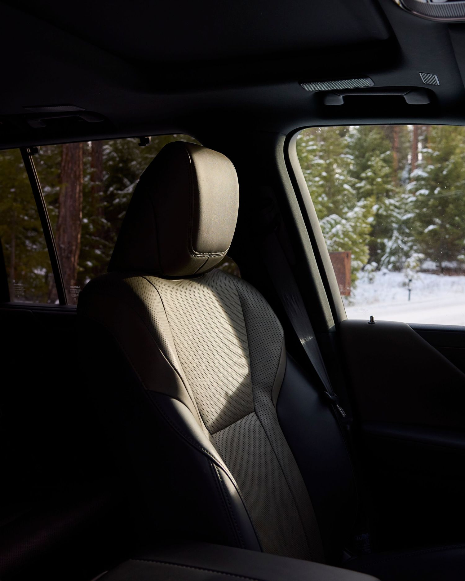 Luxury beige leather SUV interior seat with snowy pine forest visible through window.