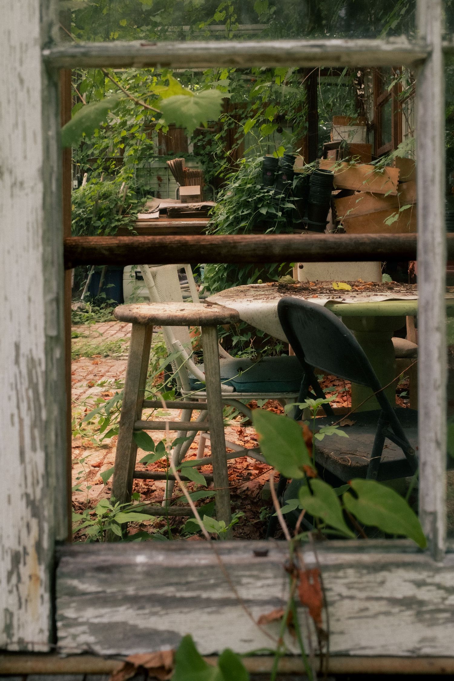Abandoned greenhouse with wooden stool, folding chair, and overgrown plants viewed through a weathered white window frame.