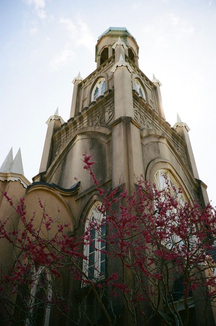 Gothic church tower with pink cherry blossoms in foreground against blue sky.