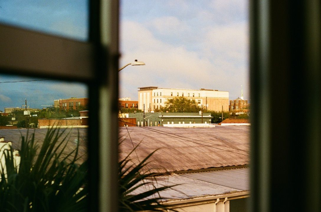 City building viewed through window frame with rooftop and palm plant in foreground.