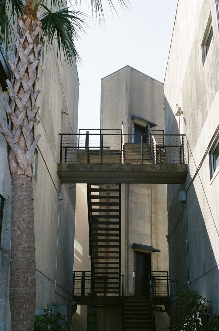 Urban alley with metal fire escape staircase and palm tree between concrete buildings.