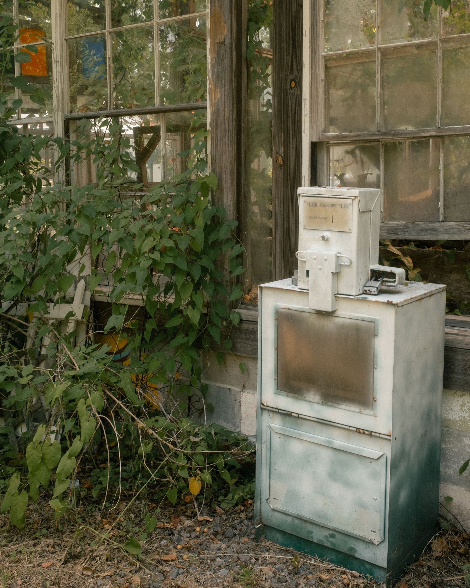Vintage white metal stove sits outside an aged greenhouse with overgrown vines and weathered windows.