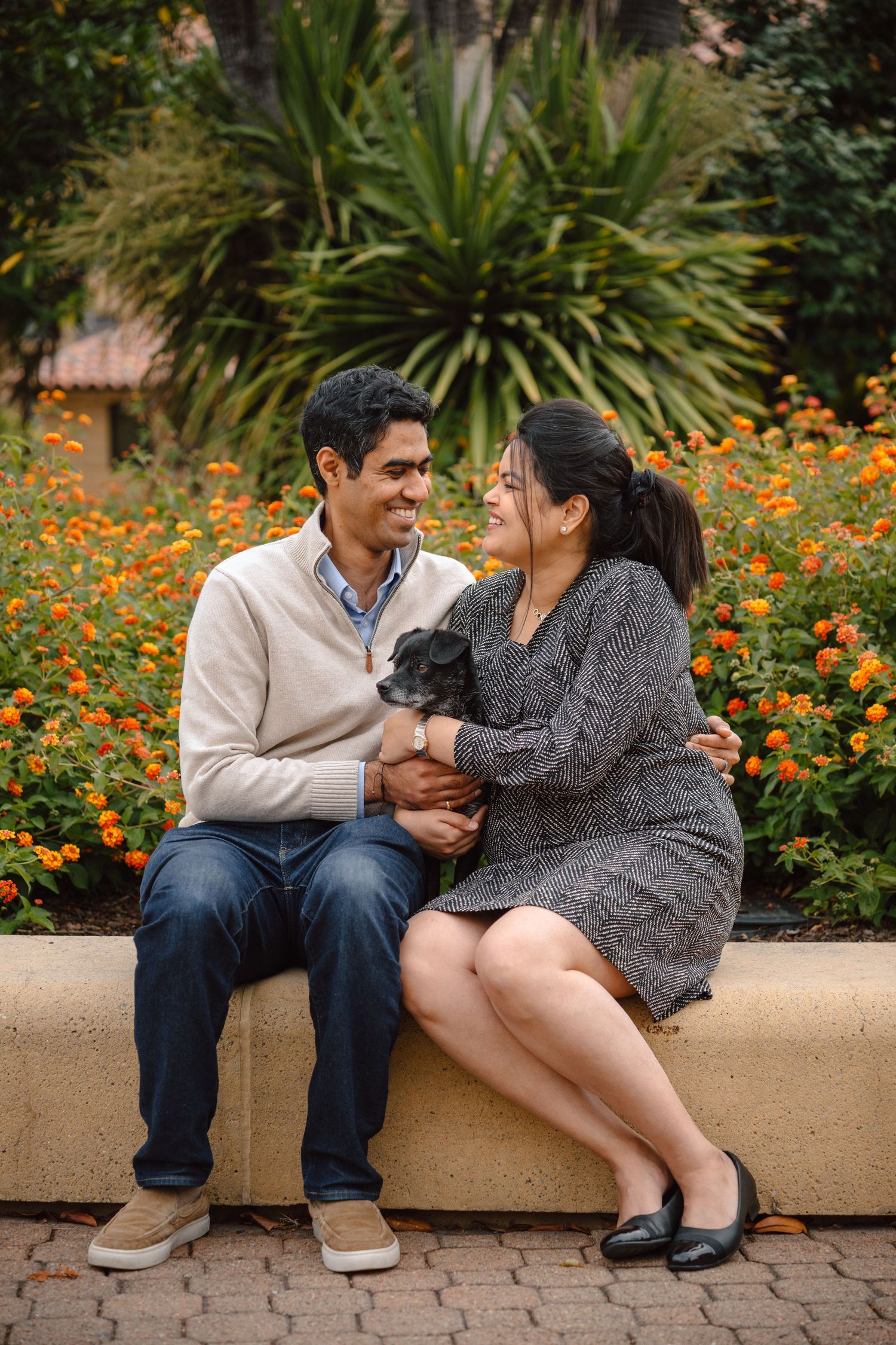 mom and dad holding their pup with flowers in the back at Stanford University