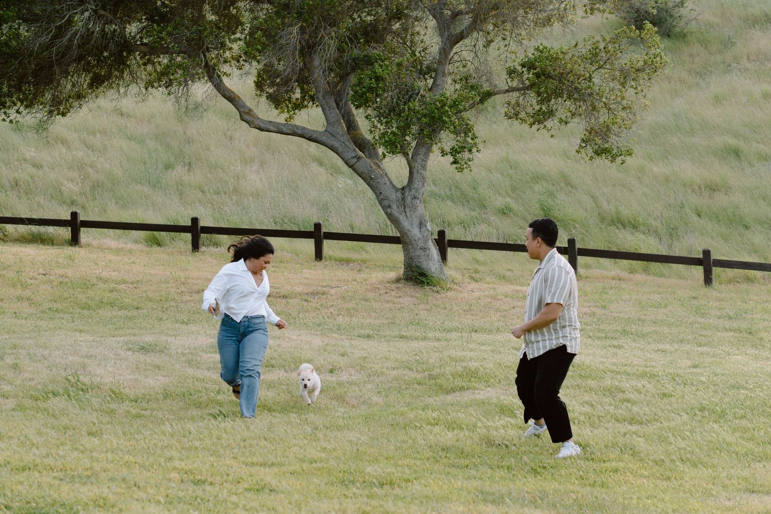 Candid outdoor family session in the Hayward park with a couple playing with their small white dog