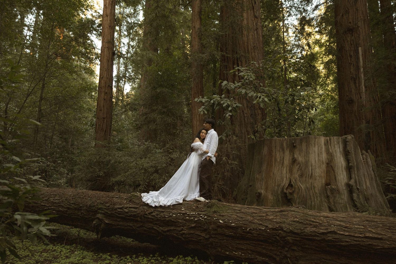 Bride standing among towering redwood trees during a romantic wedding photoshoot in Northern California.