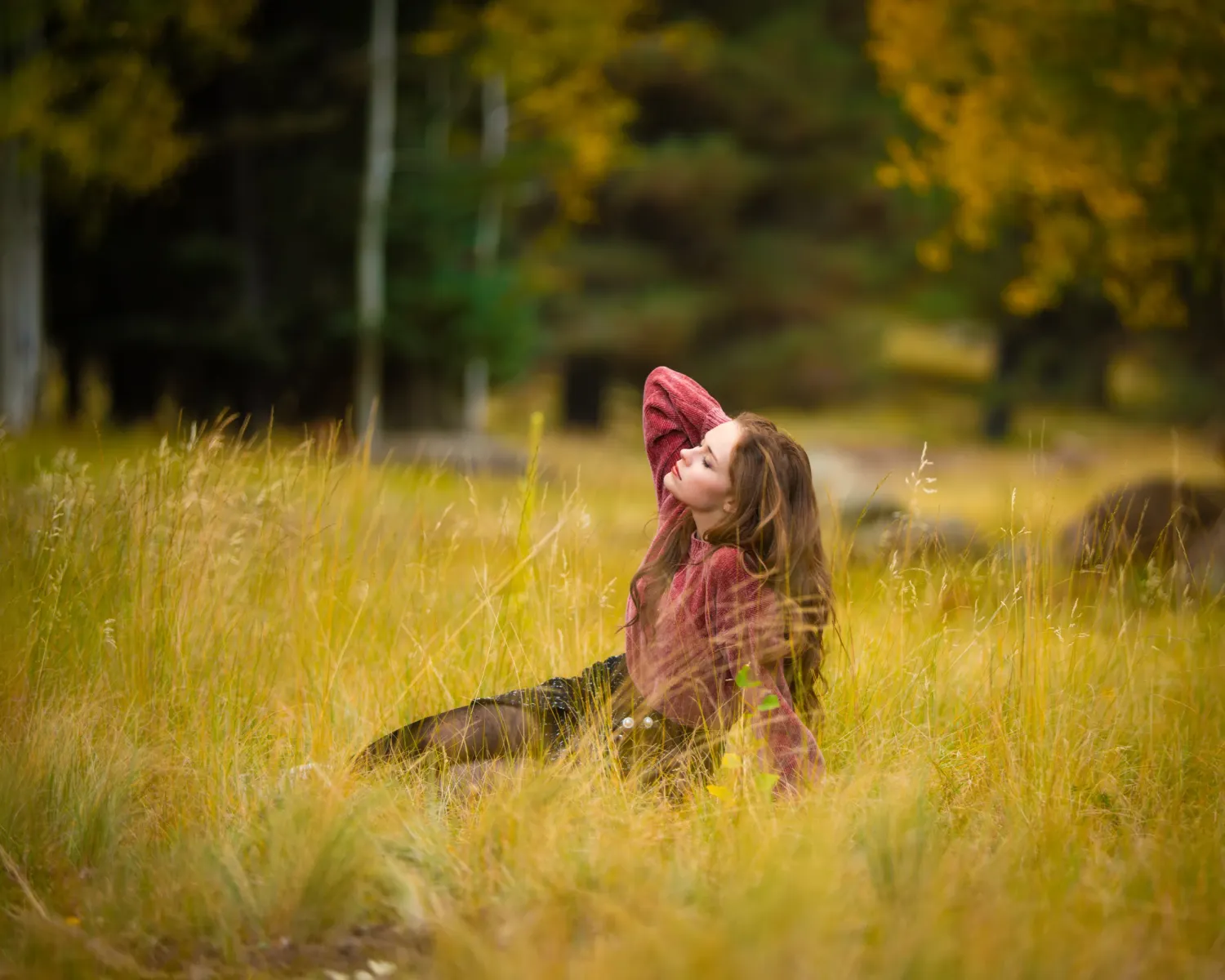 Tall grass meadow with golden sunlight filtering through autumn trees.