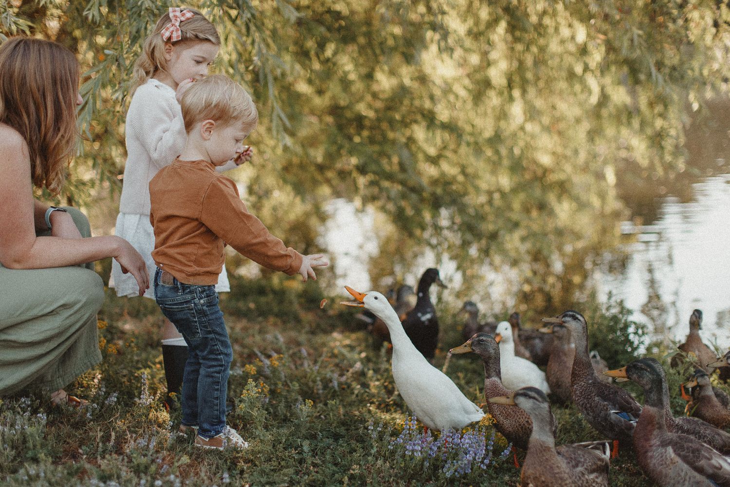 best photo locations in Corvallis Oregon - corvallis Oregon Family Photographer, oregon family photographer, corvallis oregon photographer