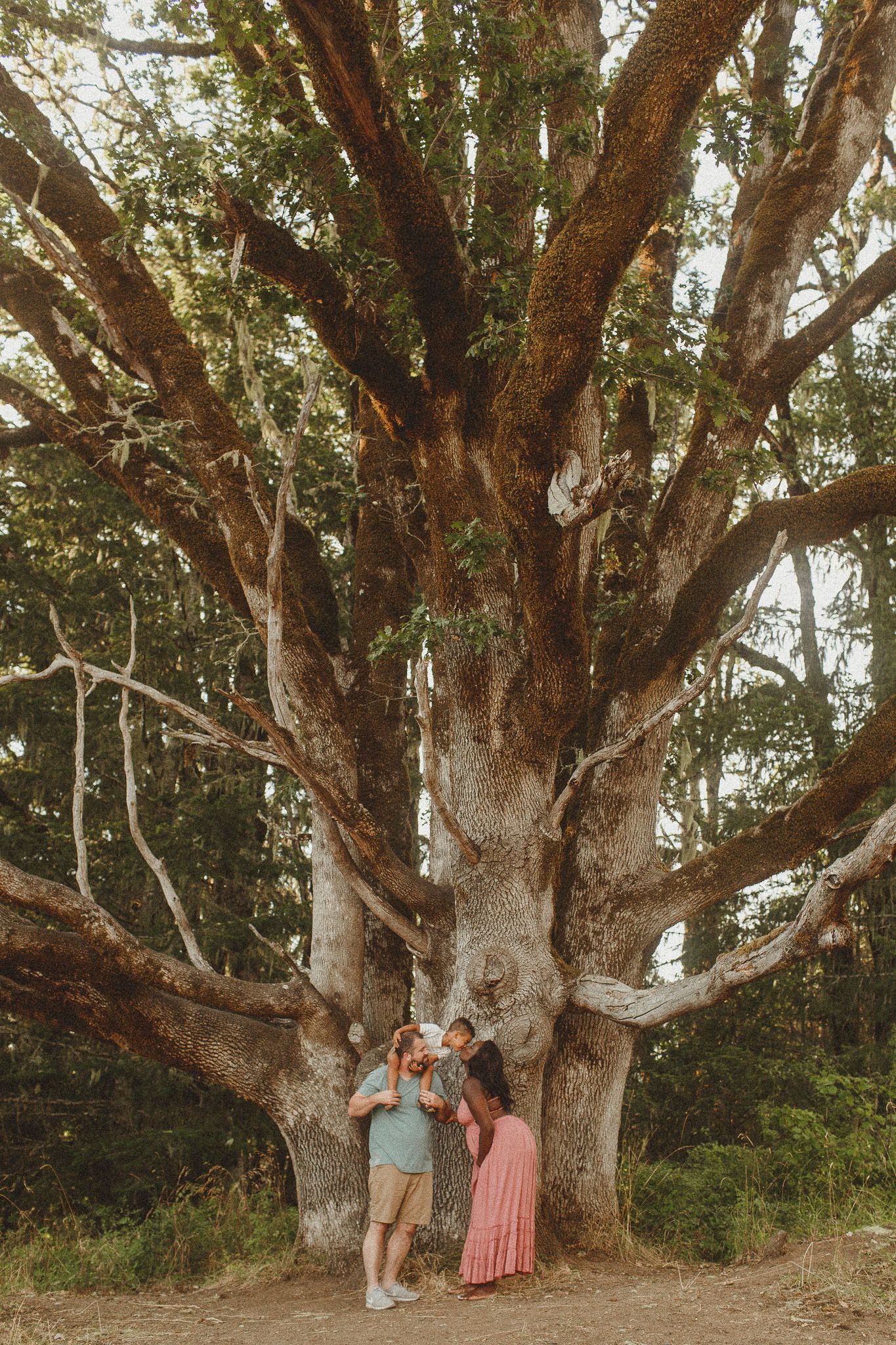 best photo locations in Corvallis Oregon - corvallis Oregon Family Photographer, oregon family photographer, corvallis oregon photographer