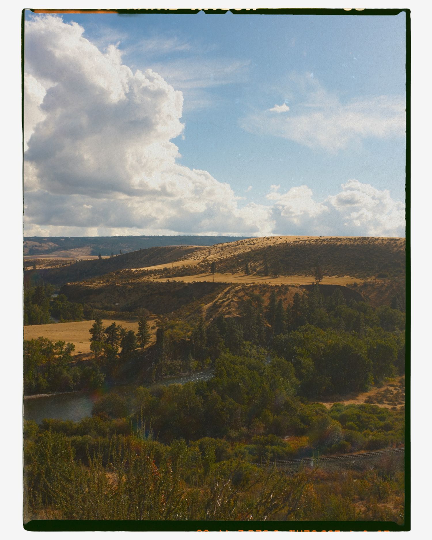 Scenic landscape view of a river valley with lush green trees, golden hills, and dramatic clouds in a blue sky.
