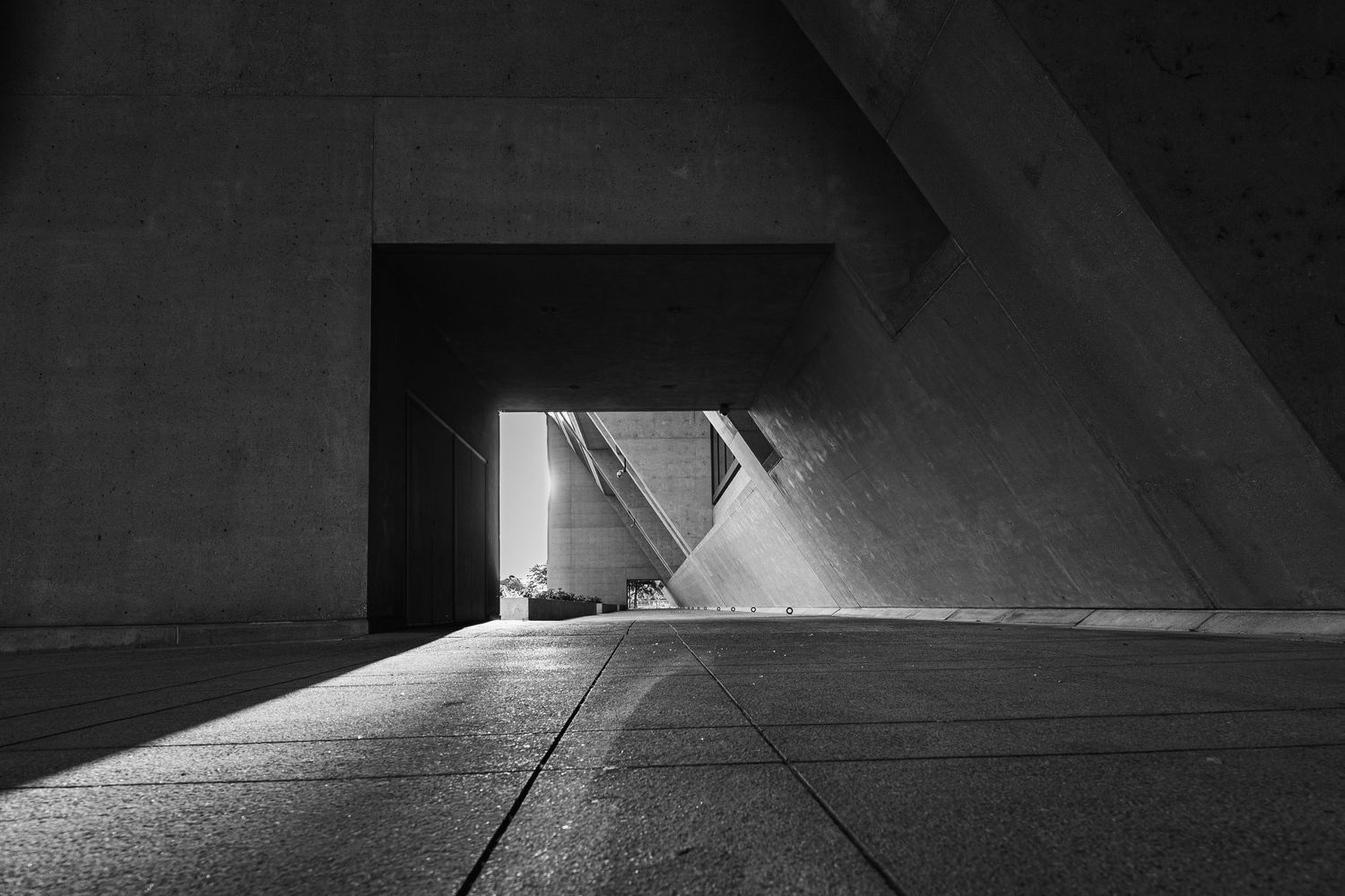 Black and white architectural study of concrete forms and dramatic light at Dallas City Hall