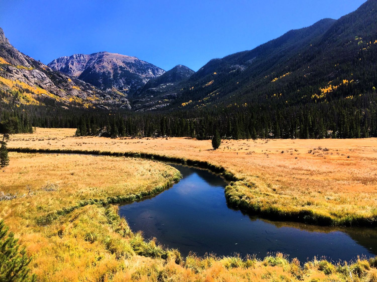 Scenic autumn mountain valley with winding river, golden meadows, pine trees, and rocky peaks under a clear blue sky.