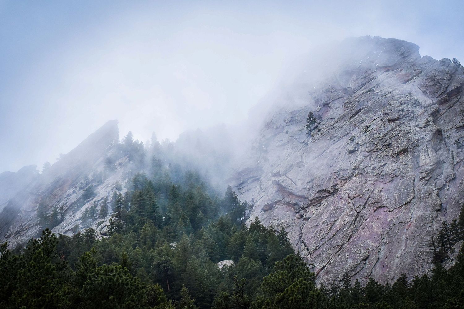 Misty fog envelops a rugged rocky mountain cliff with dense evergreen trees below against a pale blue sky.
