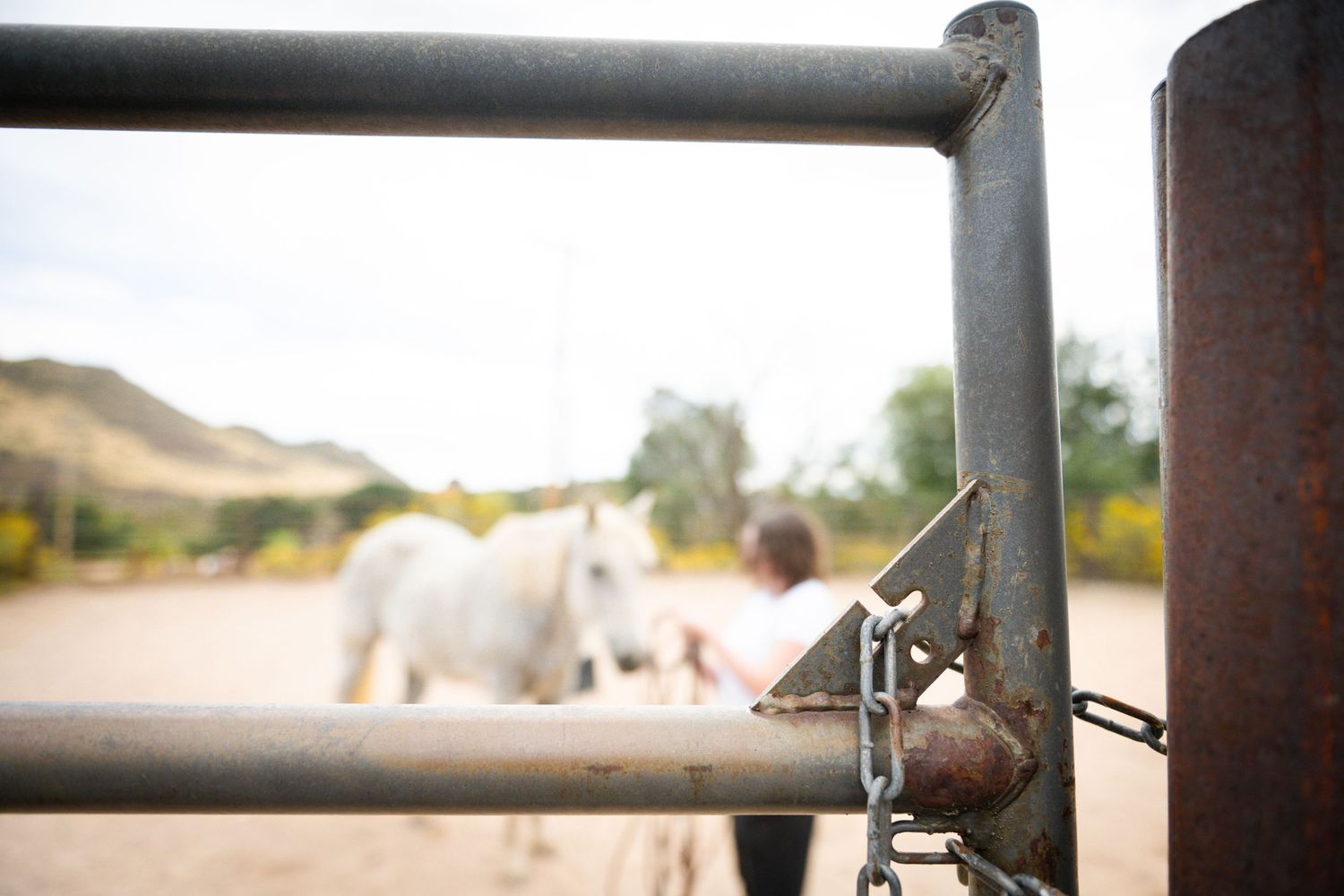 A chained metal gate at a ranch with a white horse and person in the blurred background on a dirt path.
