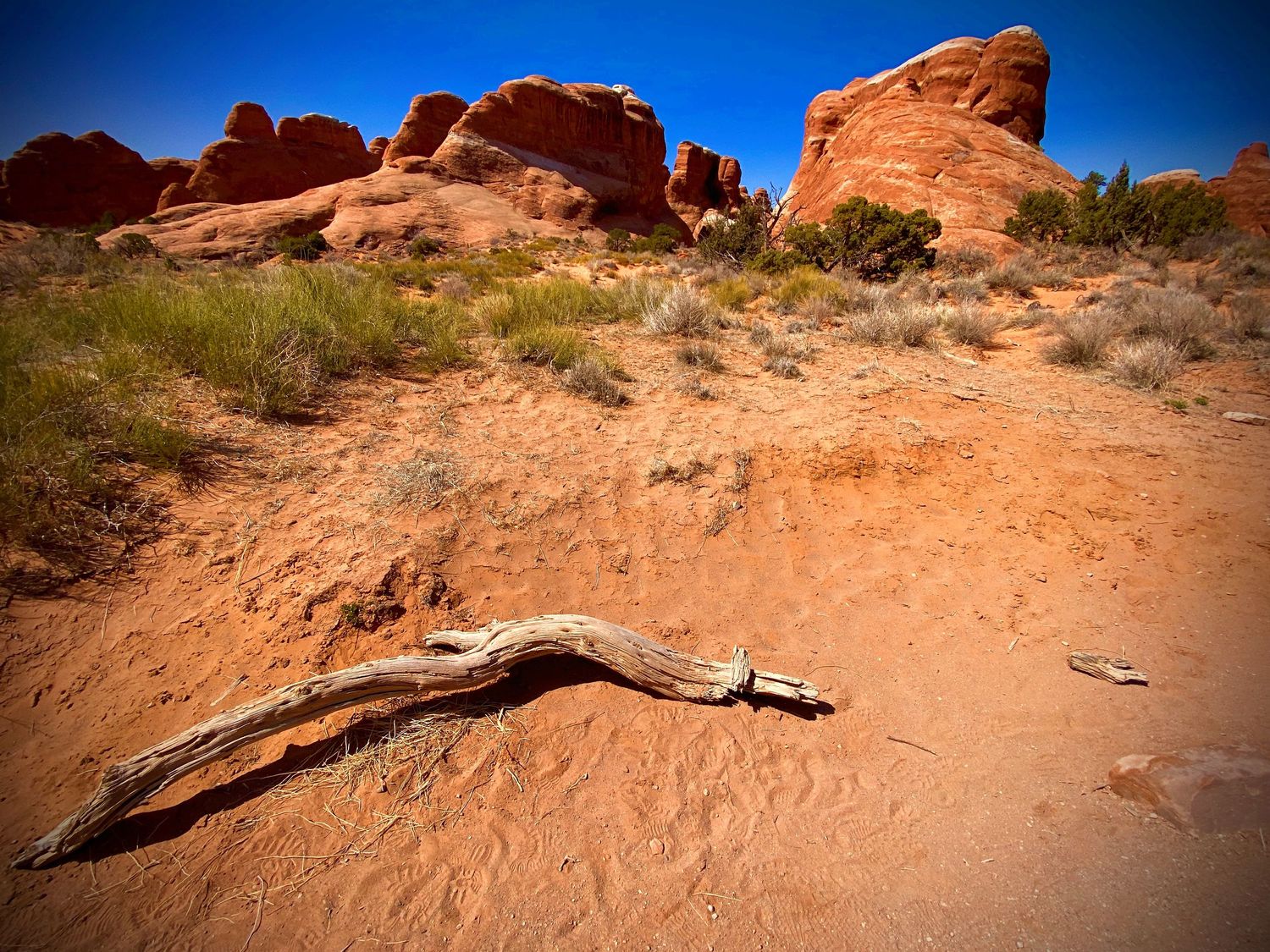 A weathered driftwood log rests on red desert sand with sandstone rock formations under a clear blue sky.