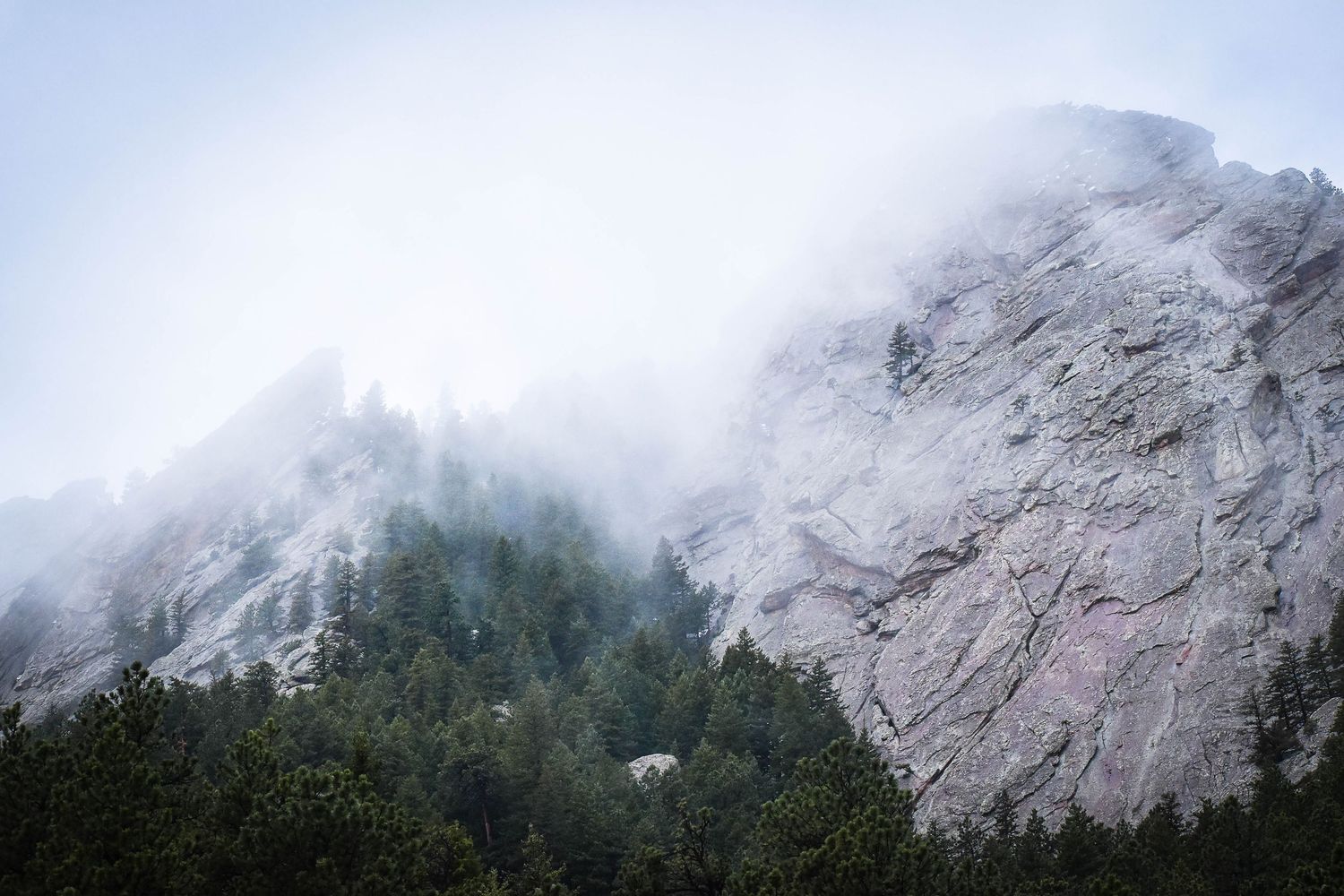 Misty fog rolling over a rocky mountain cliff with evergreen trees below on an overcast day.