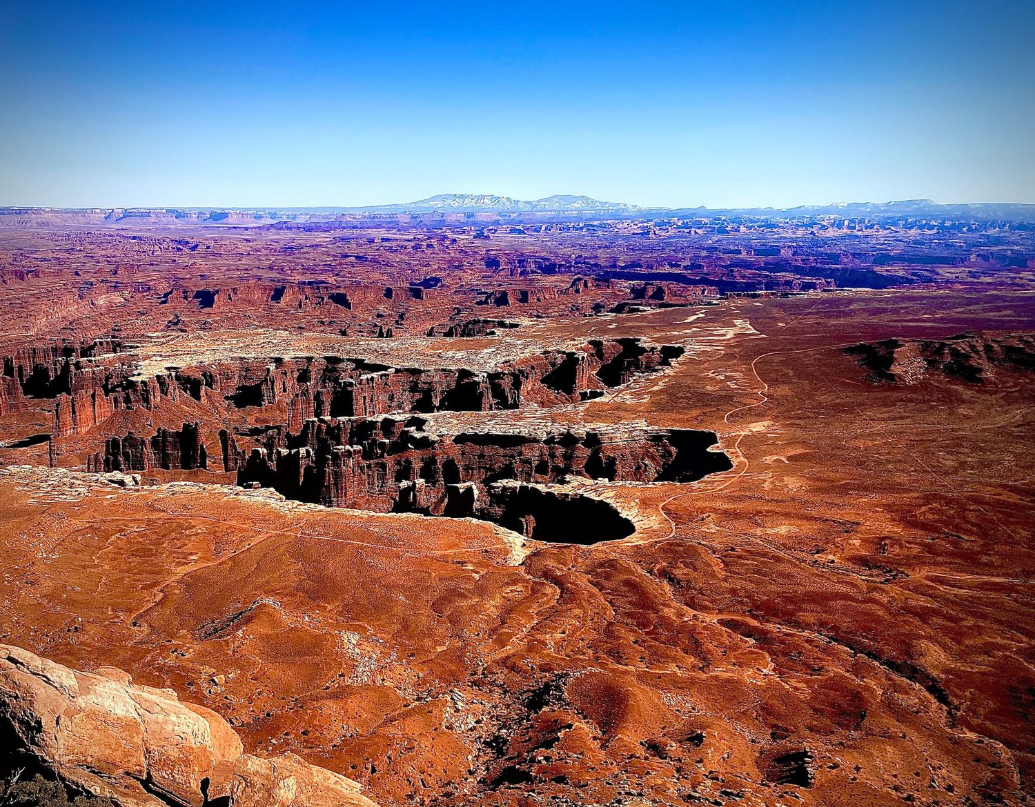 Aerial view of Canyonlands National Park showcasing vast red rock canyon formations under a clear blue sky.