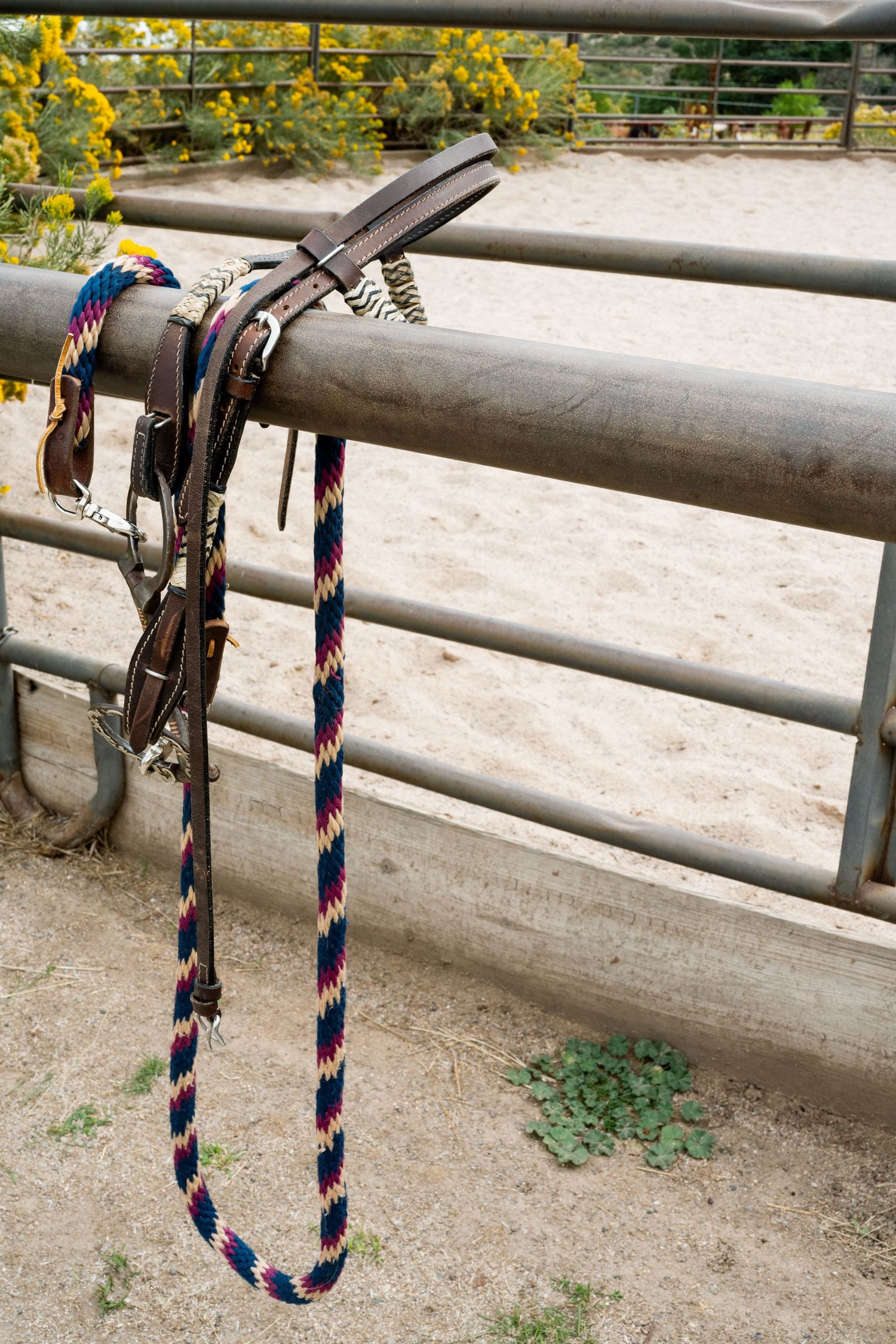 Colorful braided horse lead rope and leather bridle hanging on metal corral fence rail near sandy arena.