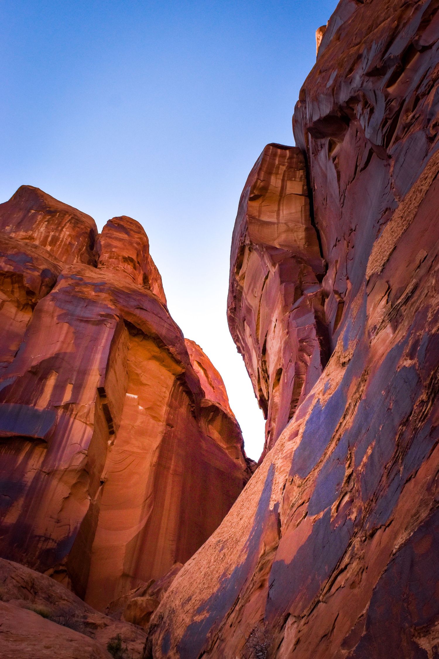 Dramatic red sandstone canyon walls rise against a clear blue sky, showcasing the vivid colors of a desert slot canyon.