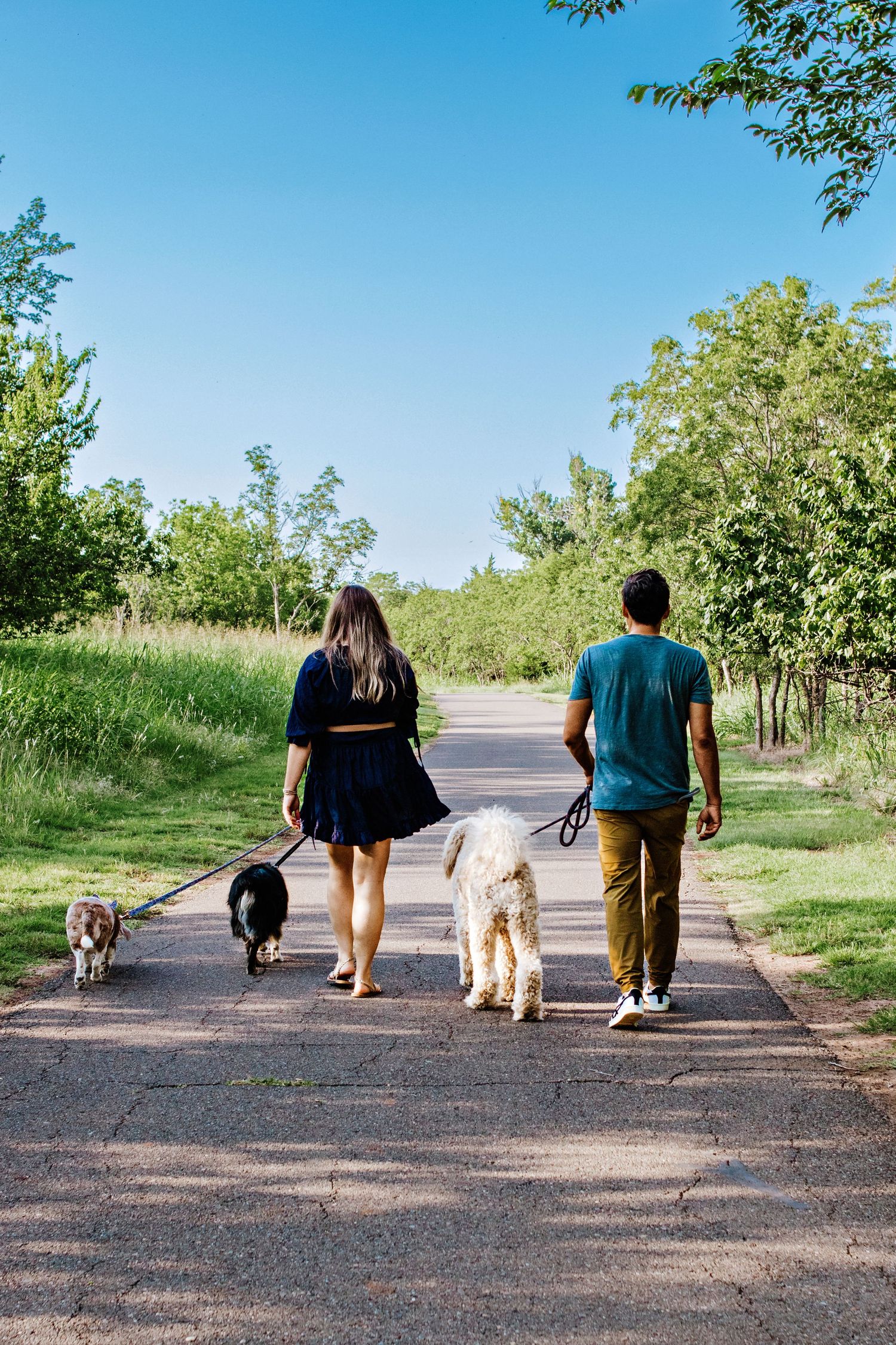 Two people walking their three dogs on a sunny path surrounded by green trees and grass.