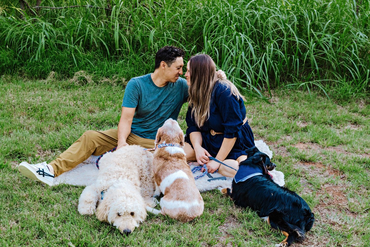A couple sits on a blanket in the grass with three dogs, surrounded by tall green reeds in the background.