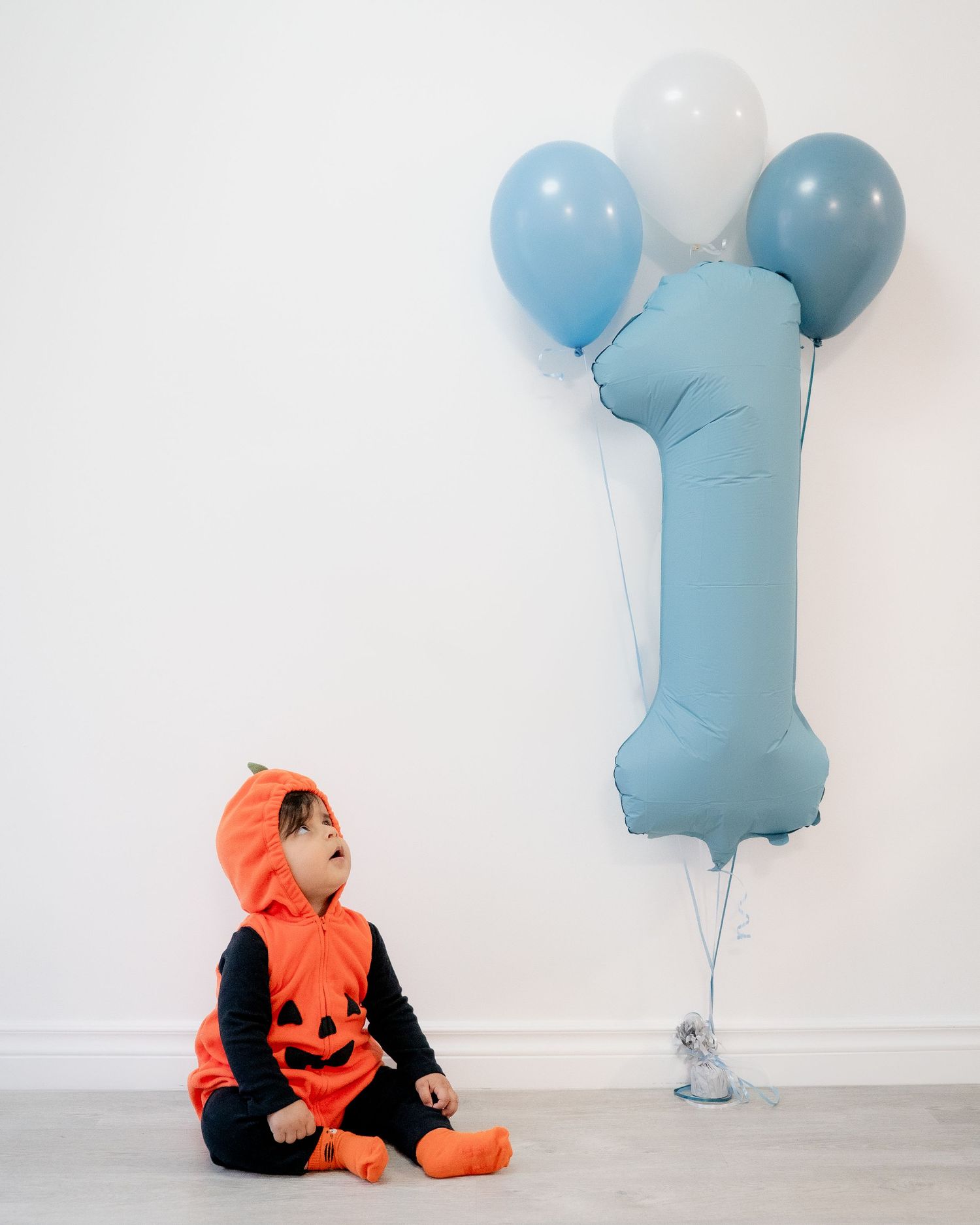 Cake Smash, One Year Old