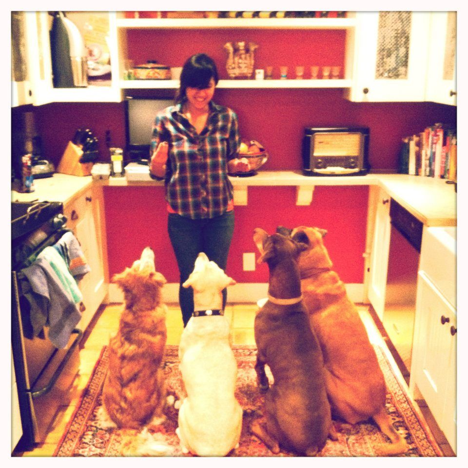 Woman in kitchen surrounded by four attentive dogs waiting for food in vintage-style photo.