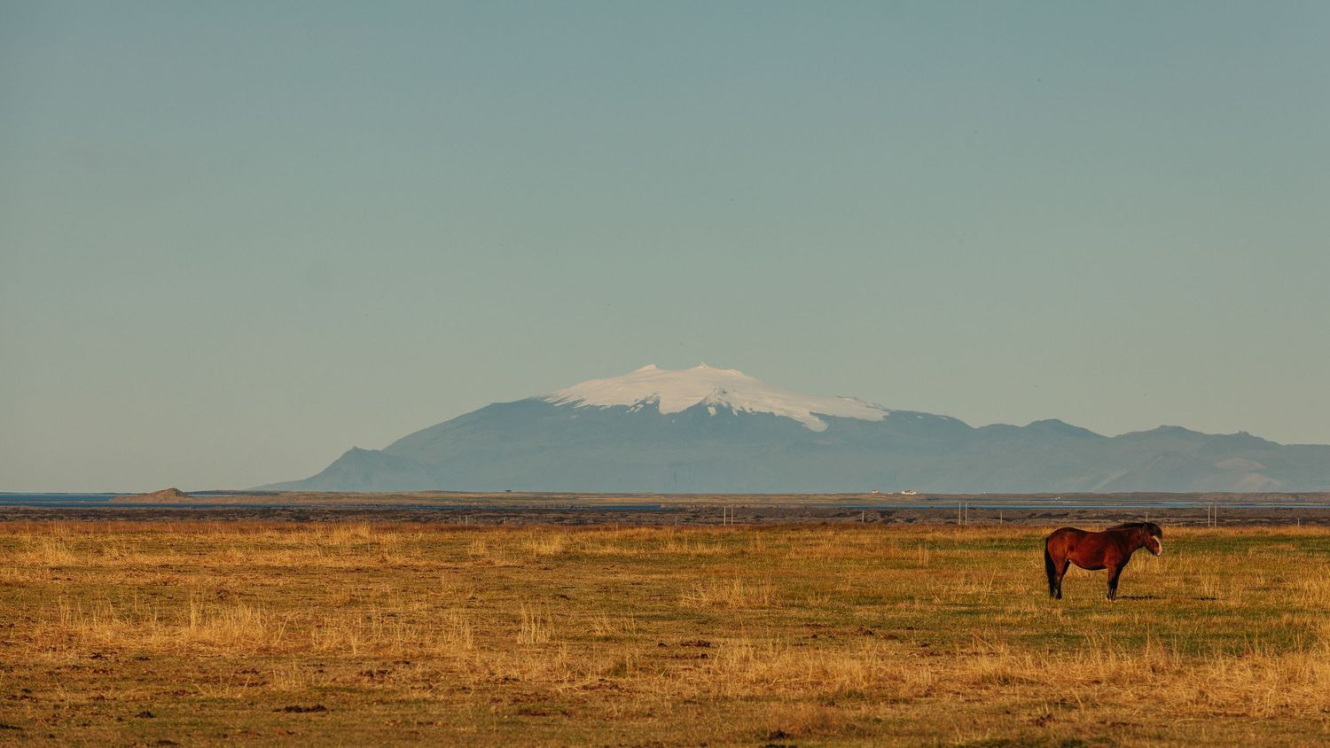 A minimalist landscape panorama showing golden grasslands against distant mountains under a muted blue sky.