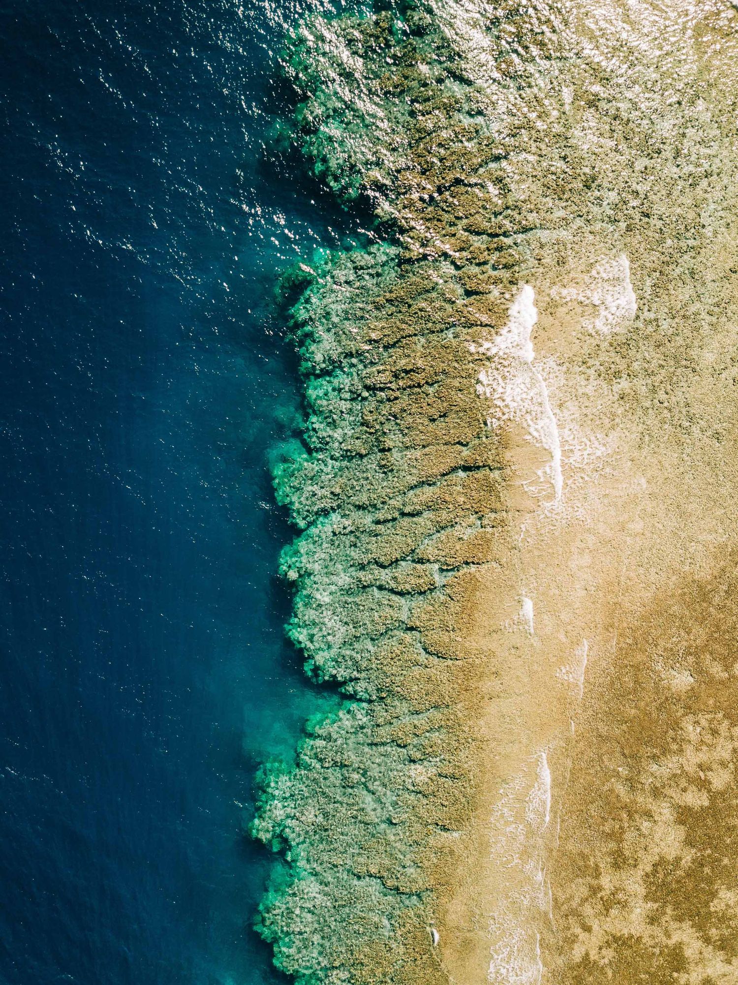 Aerial view of a coral reef meeting a sandy shore with vivid turquoise and deep blue ocean waters.