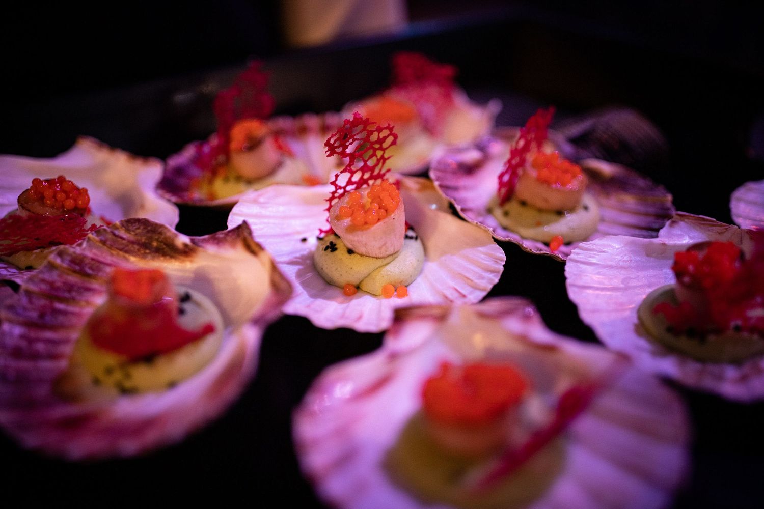 Elegant sushi rolls and appetizers beautifully plated on white dishes with pink lighting accents.