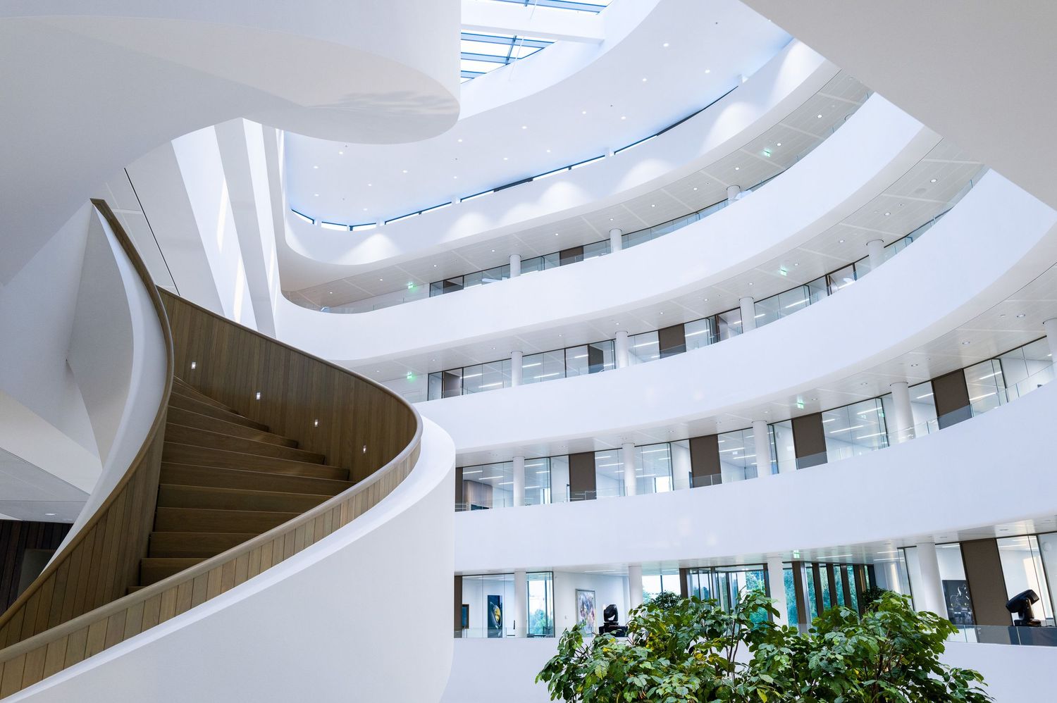 A contemporary architectural space with curved white walls and natural lighting from skylights.