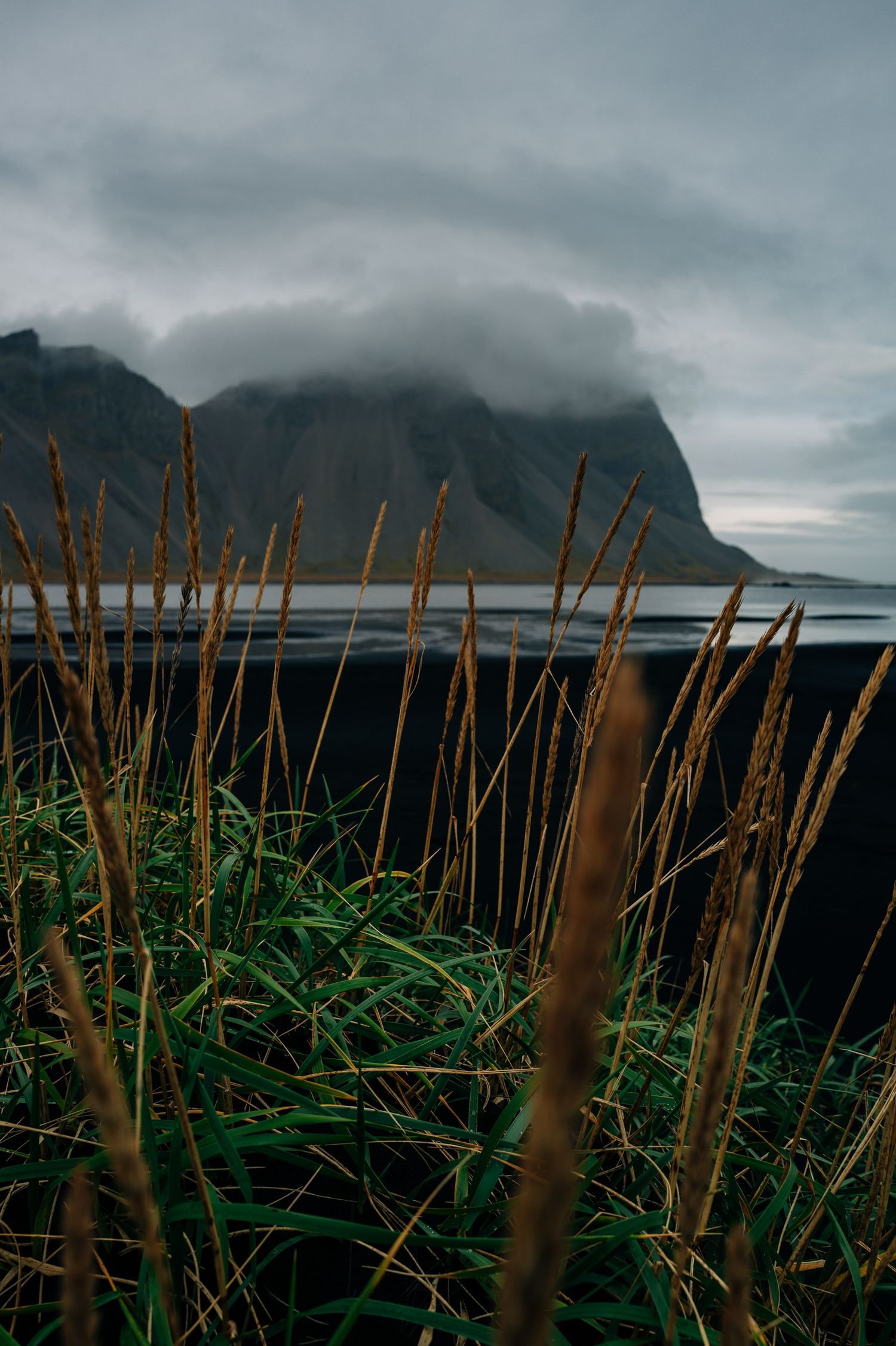 Dramatic mountain landscape with tall grass silhouettes in foreground under moody cloudy skies at dusk.