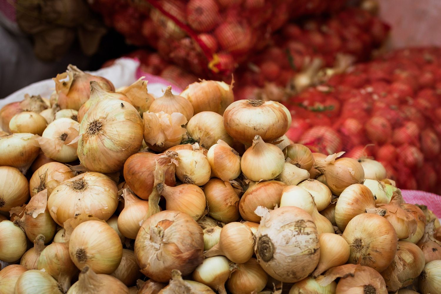 Close-up of fresh yellow onions arranged in market display.