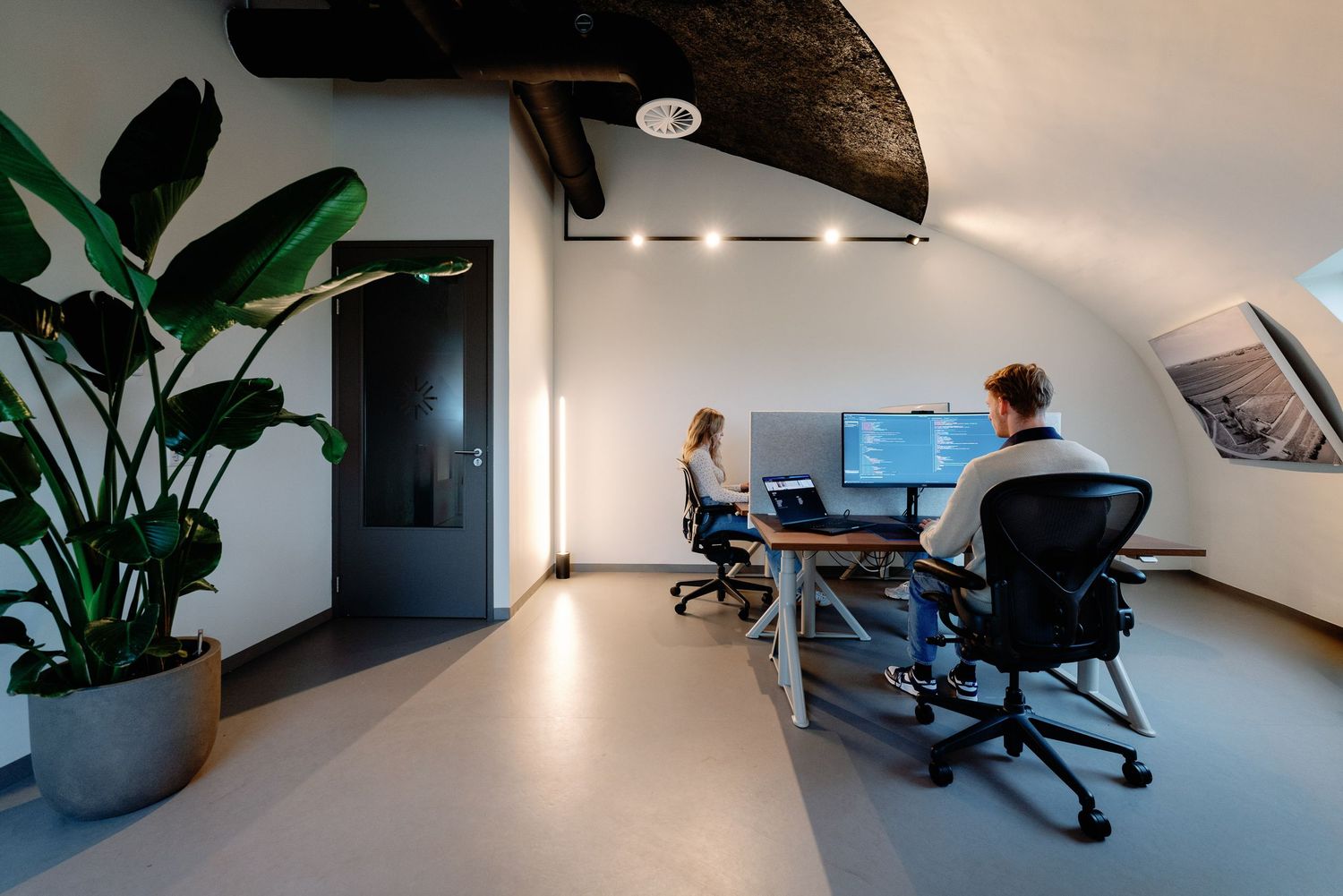 Modern office interior with plants, workstations, and natural lighting.