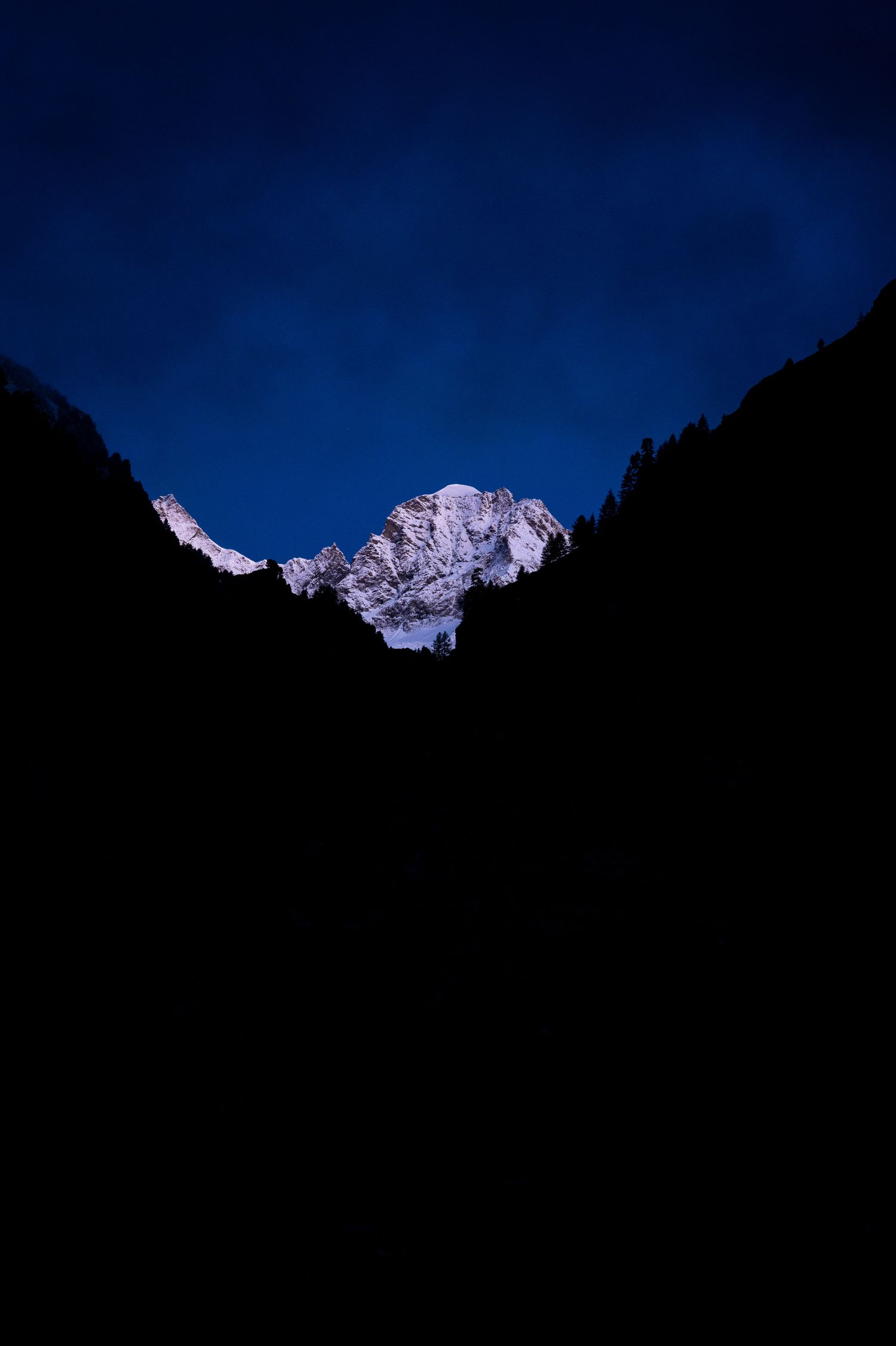 Snow-covered mountain peaks glowing at twilight against deep blue sky.