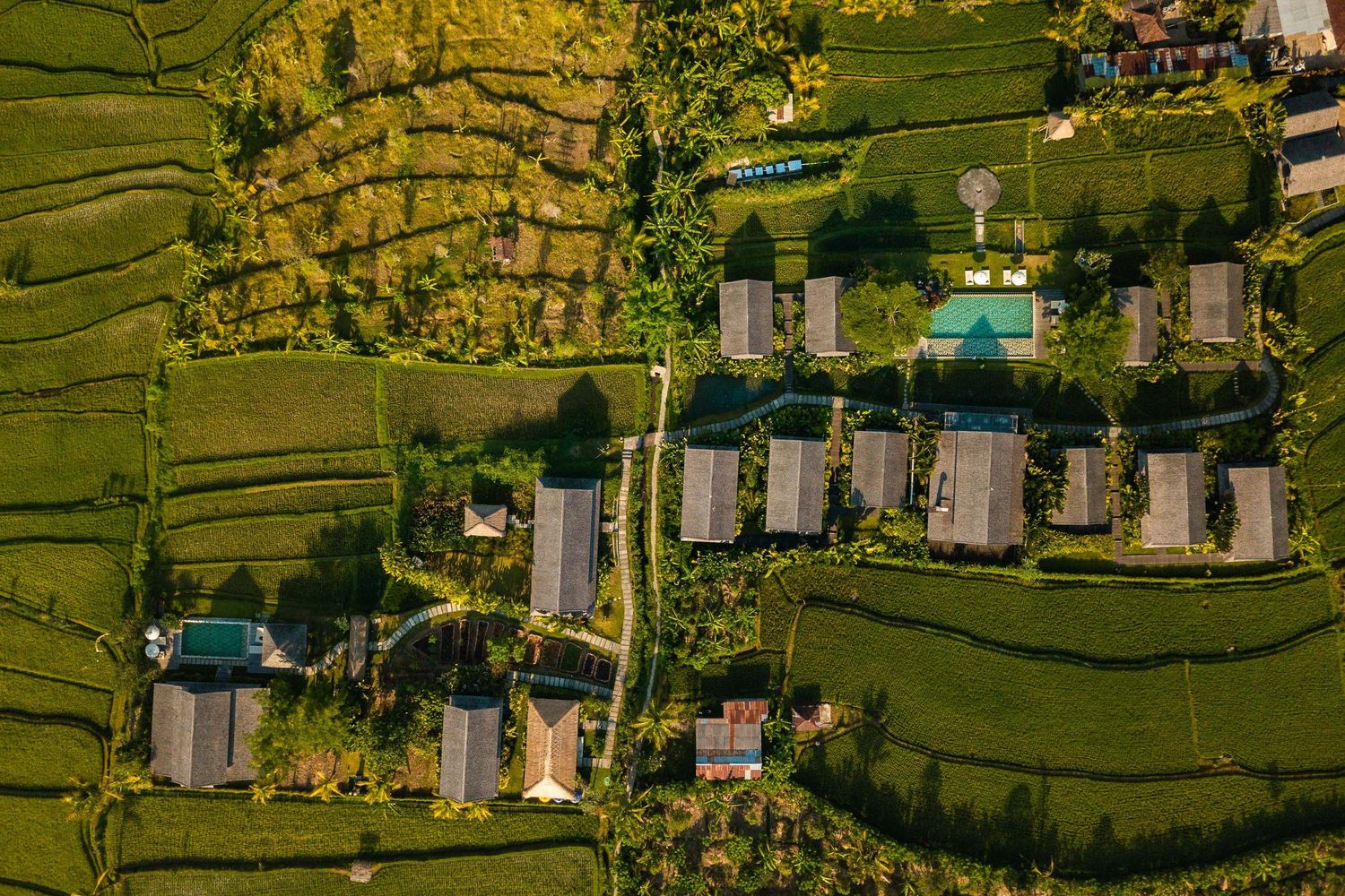 Aerial view of terraced rice fields and traditional houses in rural village landscape.
