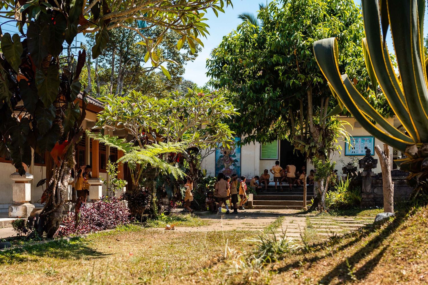 Tropical garden pathway lined with palm trees and lush vegetation.