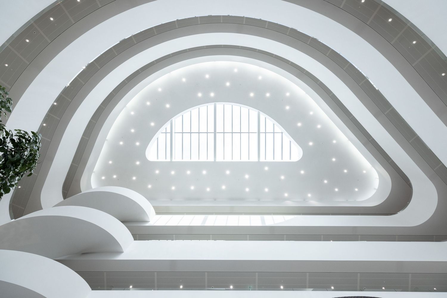 Curved architectural ceiling with recessed lighting in a modern white showroom space.