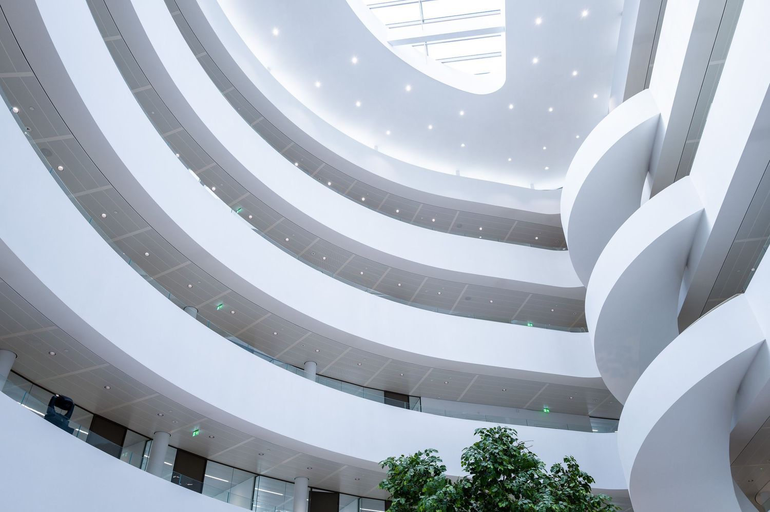 Modern architectural interior with curved white walls and circular skylights creating a bright, minimalist gallery space.