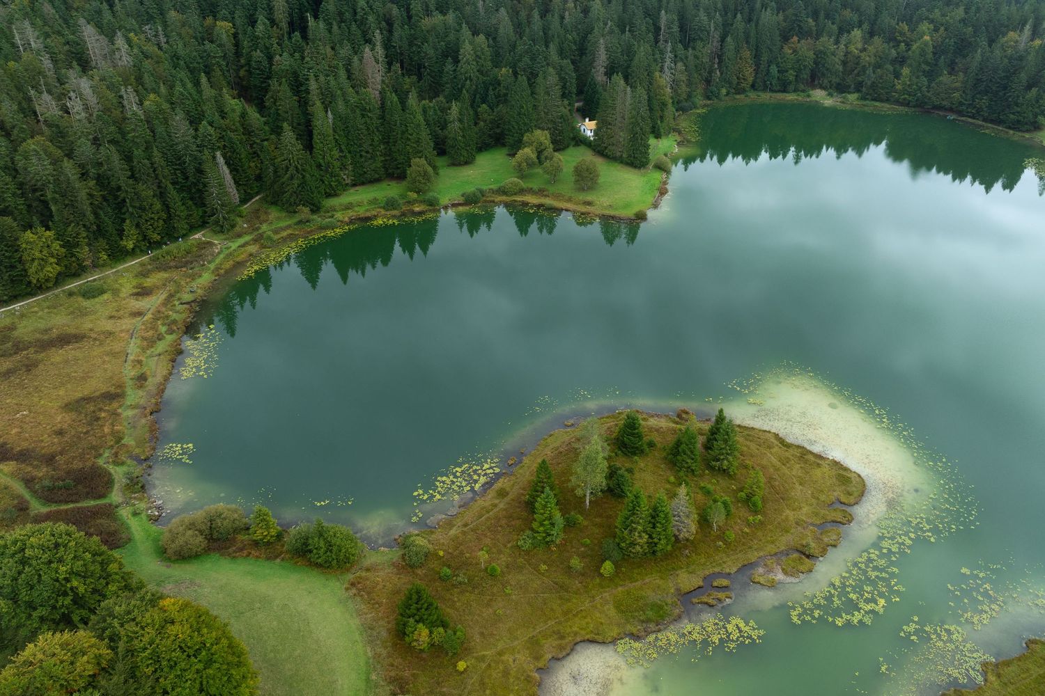 Aerial view of circular island in emerald green volcanic crater lake surrounded by forest.