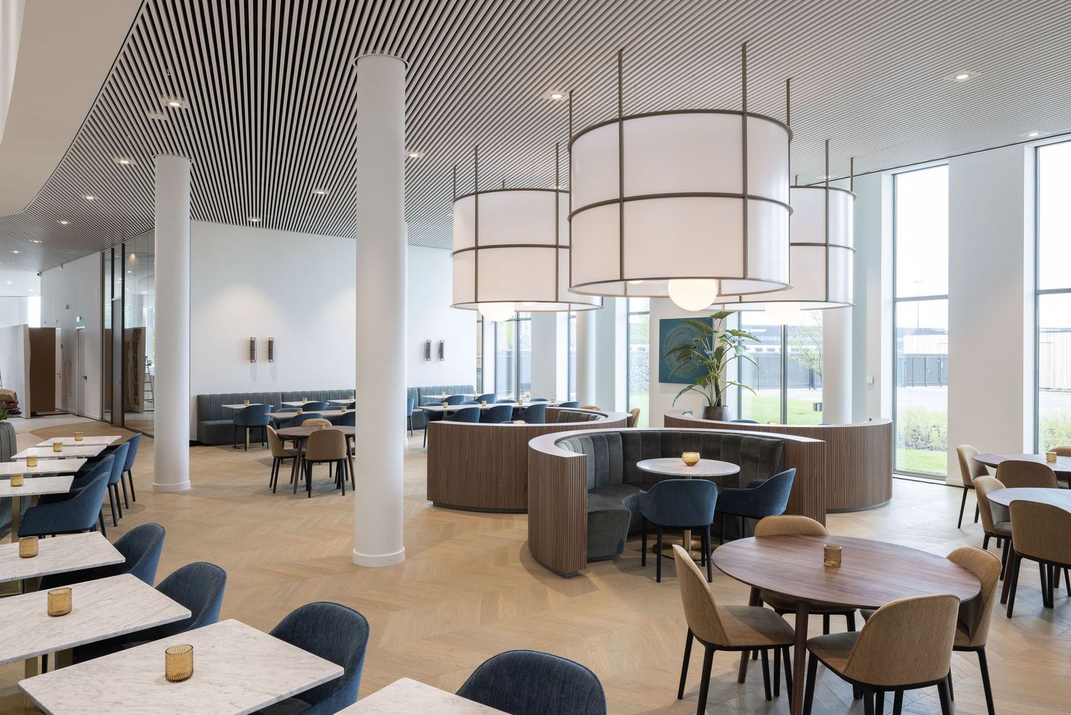 Modern office interior with blue chairs and wooden tables arranged in an open collaborative workspace setting.