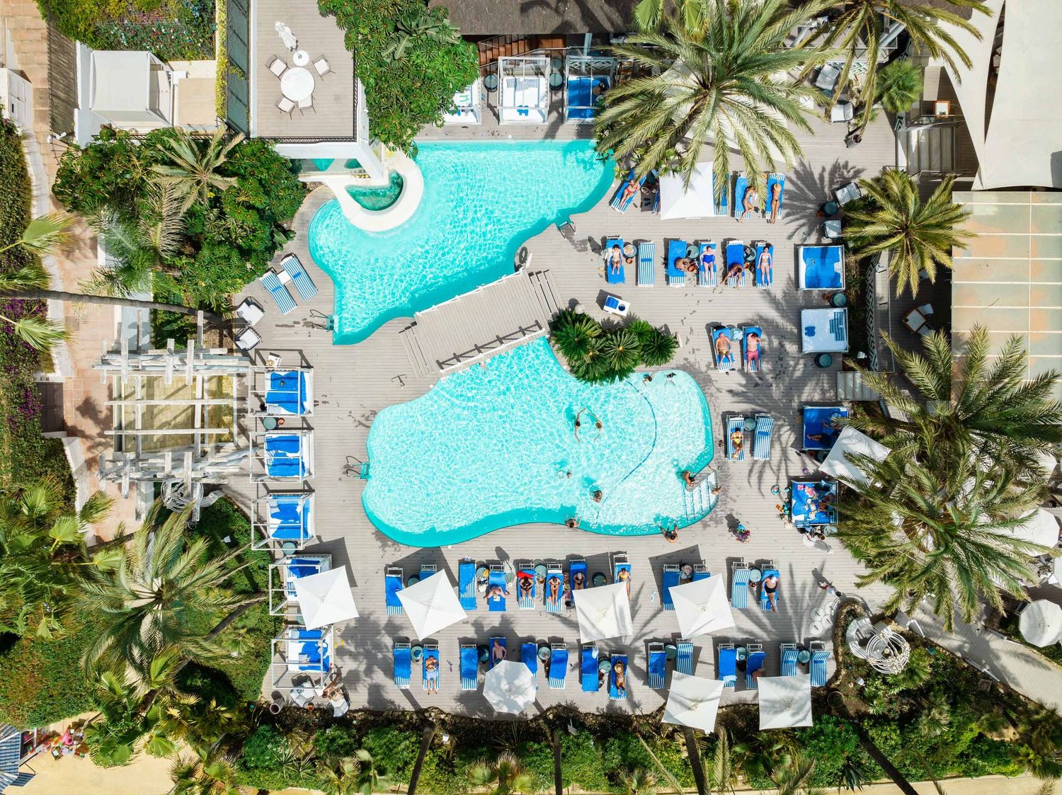 Aerial view of a luxury resort pool surrounded by blue lounge chairs and palm trees on a sunny day.
