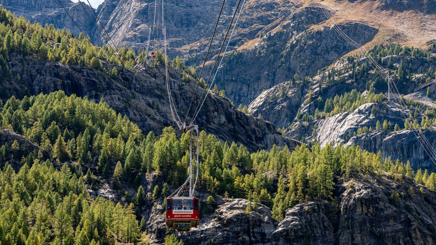 Scenic mountain valley with red cable car gondola traversing through evergreen forest landscape.
